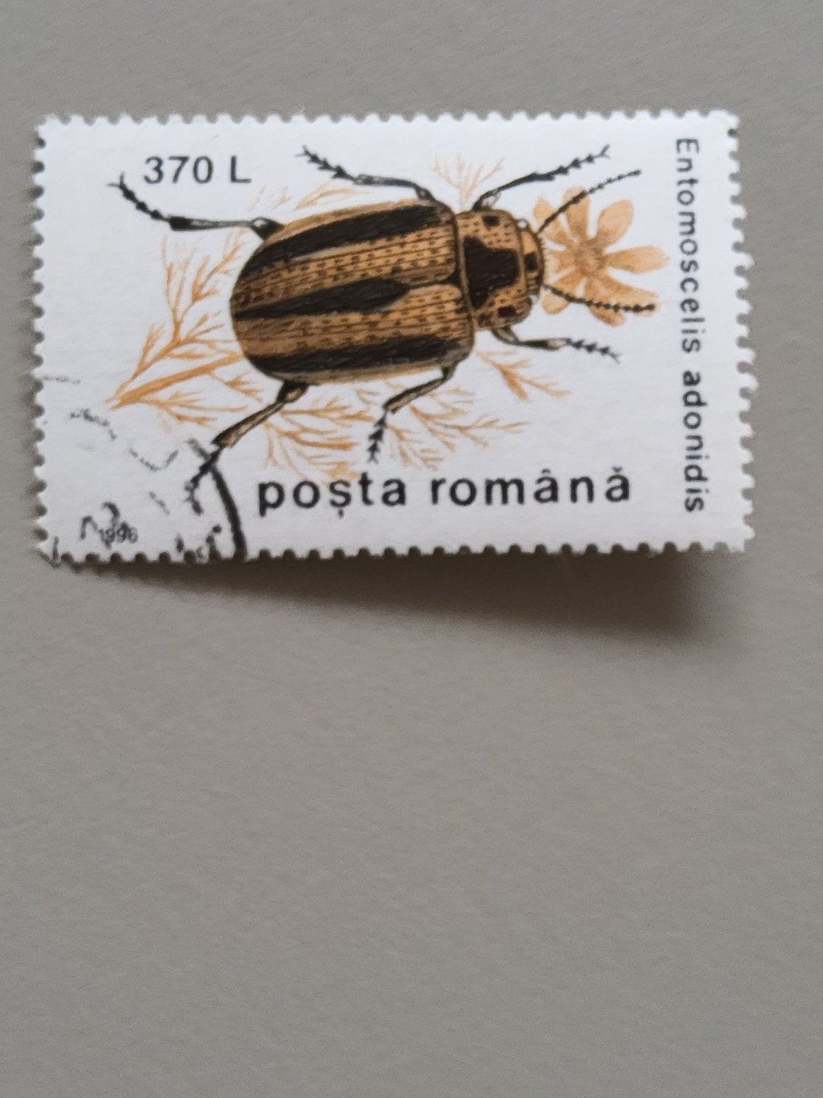 Roemeense postzegel 1996 - Entomoscelis adonidis, Postzegels en Munten, Verzenden, Overige landen, Gestempeld