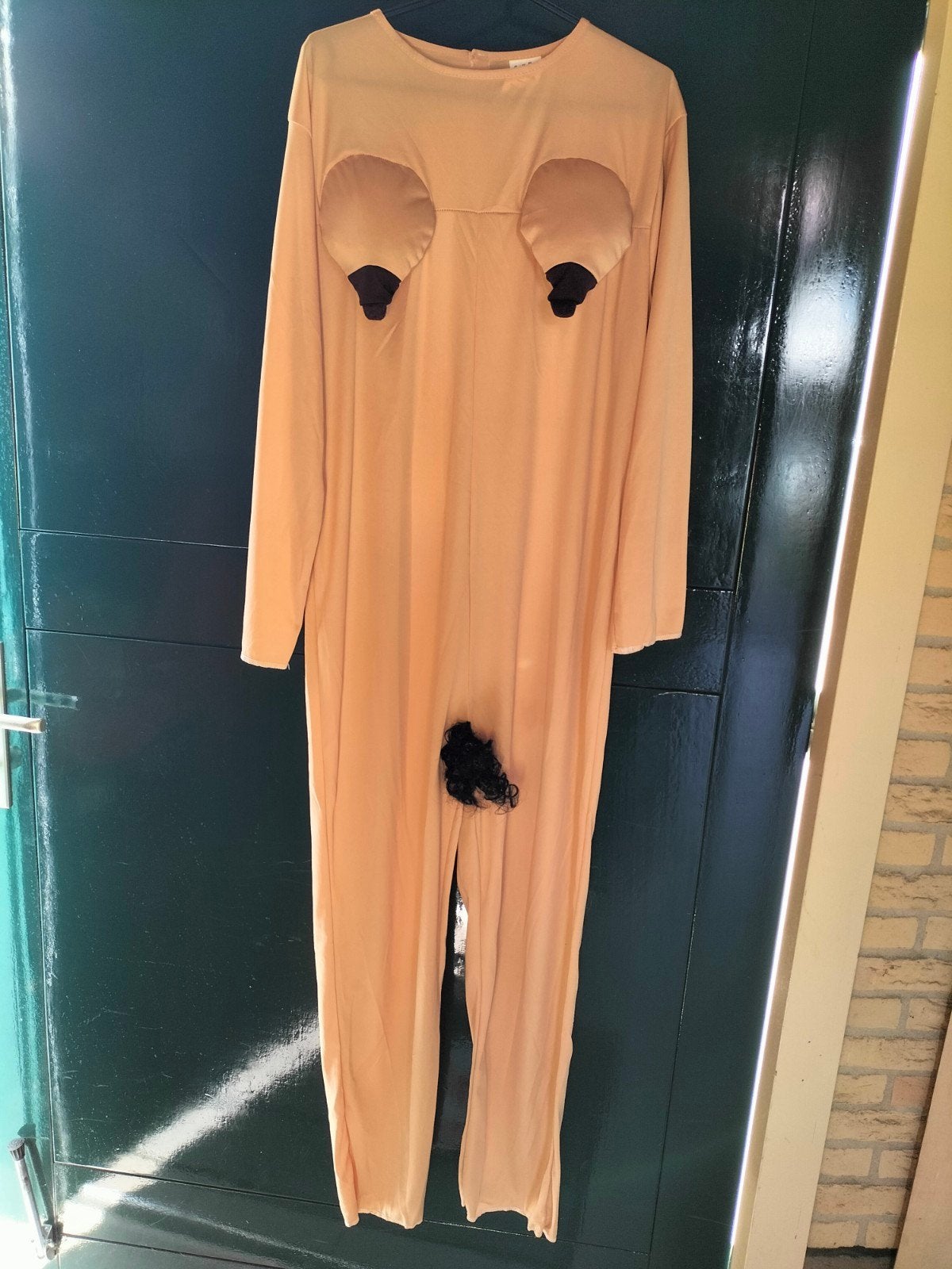 Grappig Naakte Vrouw Kostuum - Maat 54-56, Carnaval, Maat 46/48 (XL) of groter, Ophalen of Verzenden, Kleding