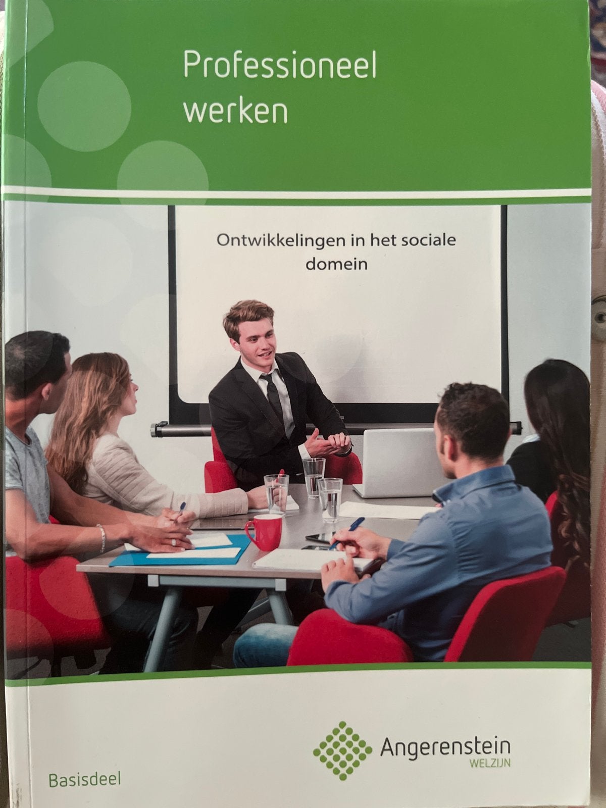 Professioneel werken - Ontwikkelingen in het sociale domein, Ophalen of Verzenden, Gamma, Zo goed als nieuw, MBO