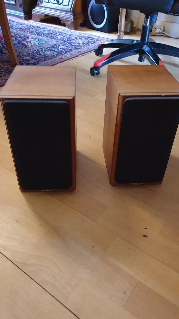 Tannoy Revolution R1, Zo goed als nieuw, 60 tot 120 watt, Front, Rear of Stereo speakers, Ophalen