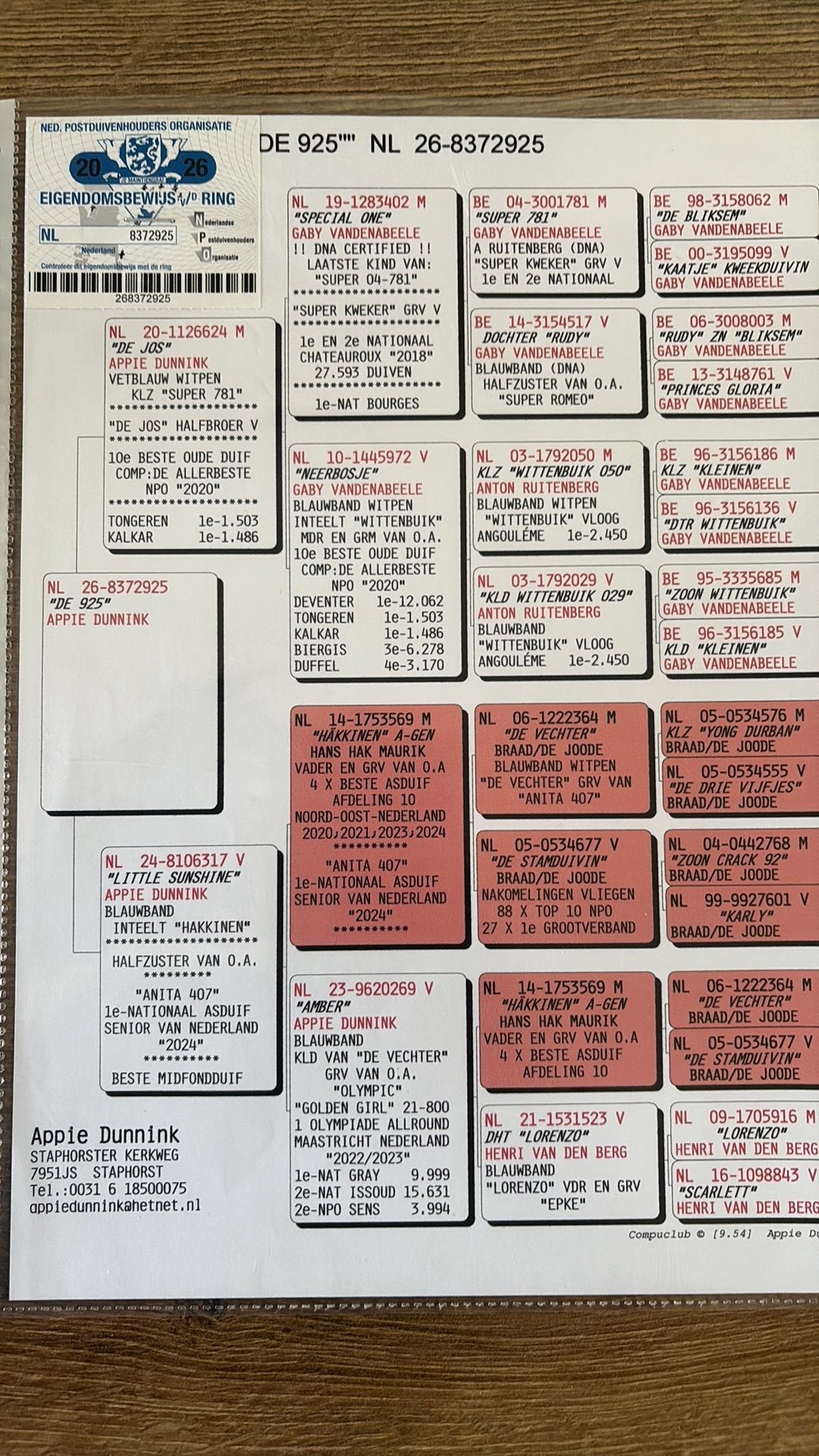 Postduiven, Vrouwelijk, Postduif