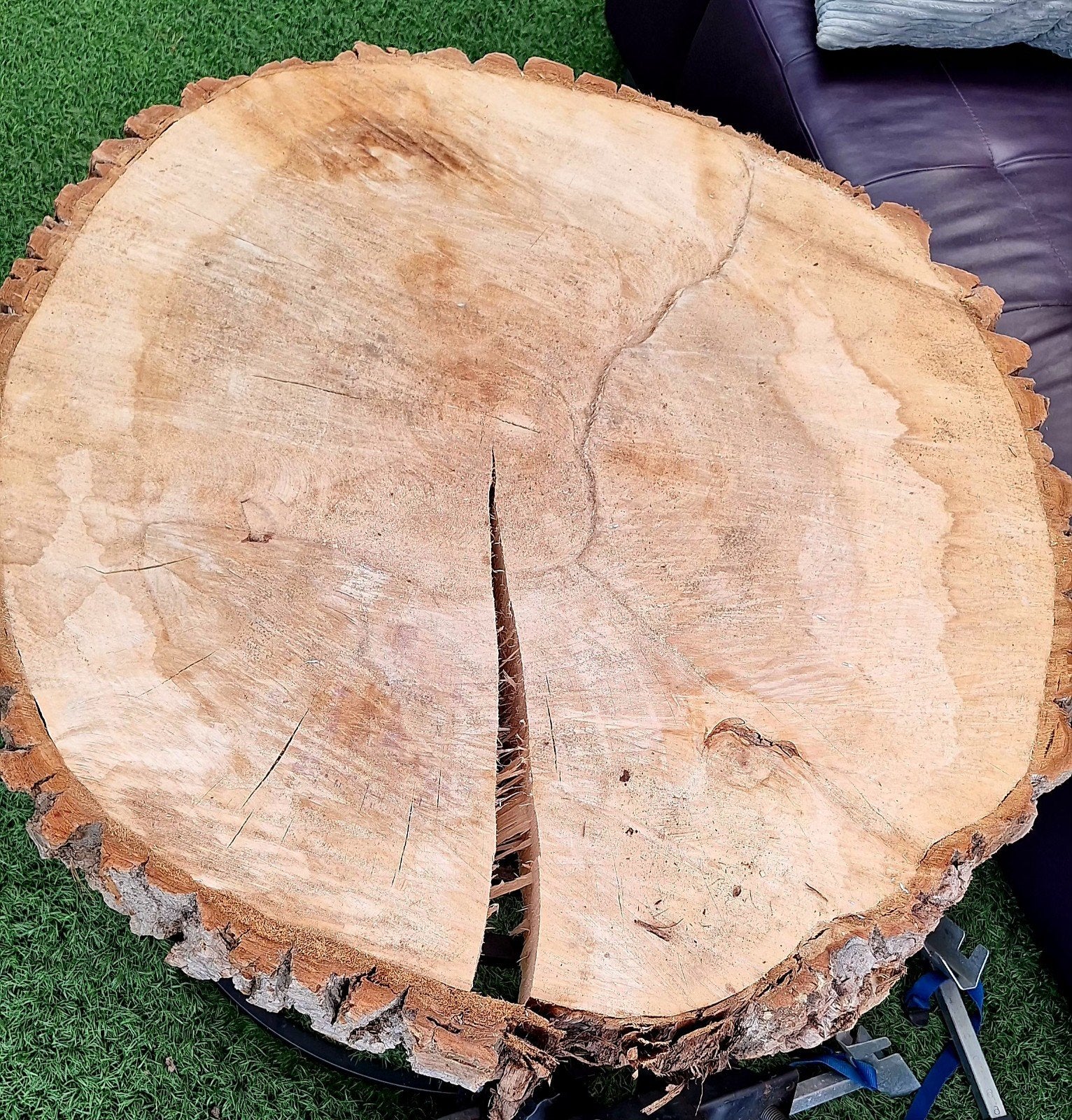Boomstam schijf boomschijf hout eiken groot, Ophalen, Eenpersoons