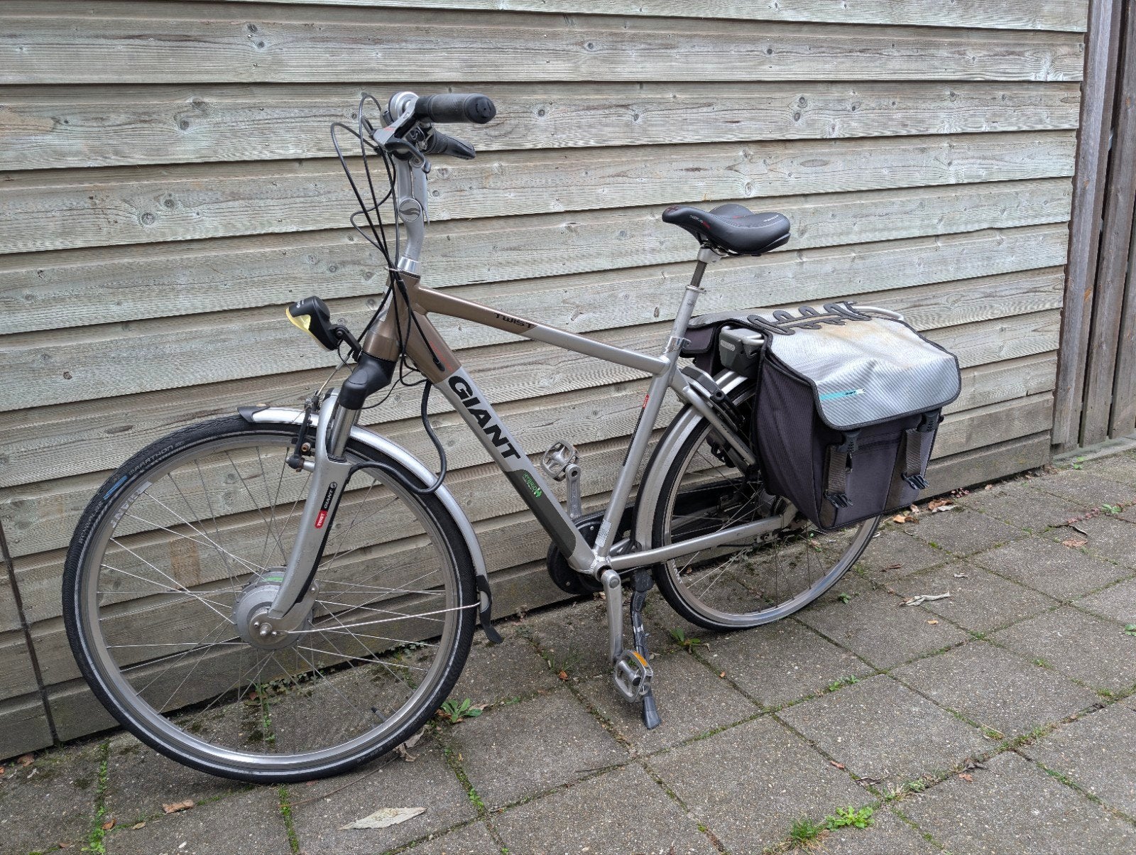Giant twist double elektrische fiets, Ophalen, Gebruikt, Giant