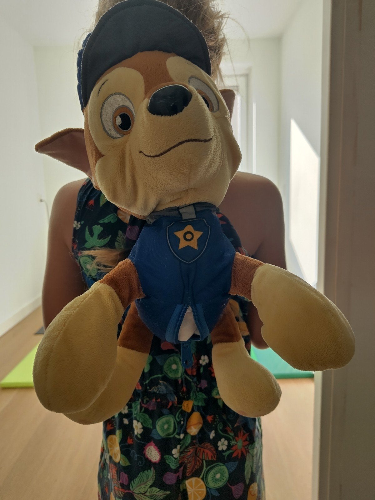 Paw Patrol Chase en Sky knuffel rugzakken, Gebruikt, Met kleding of accessoire, Middelgroot (20 tot 80 cm), Meerkleurig