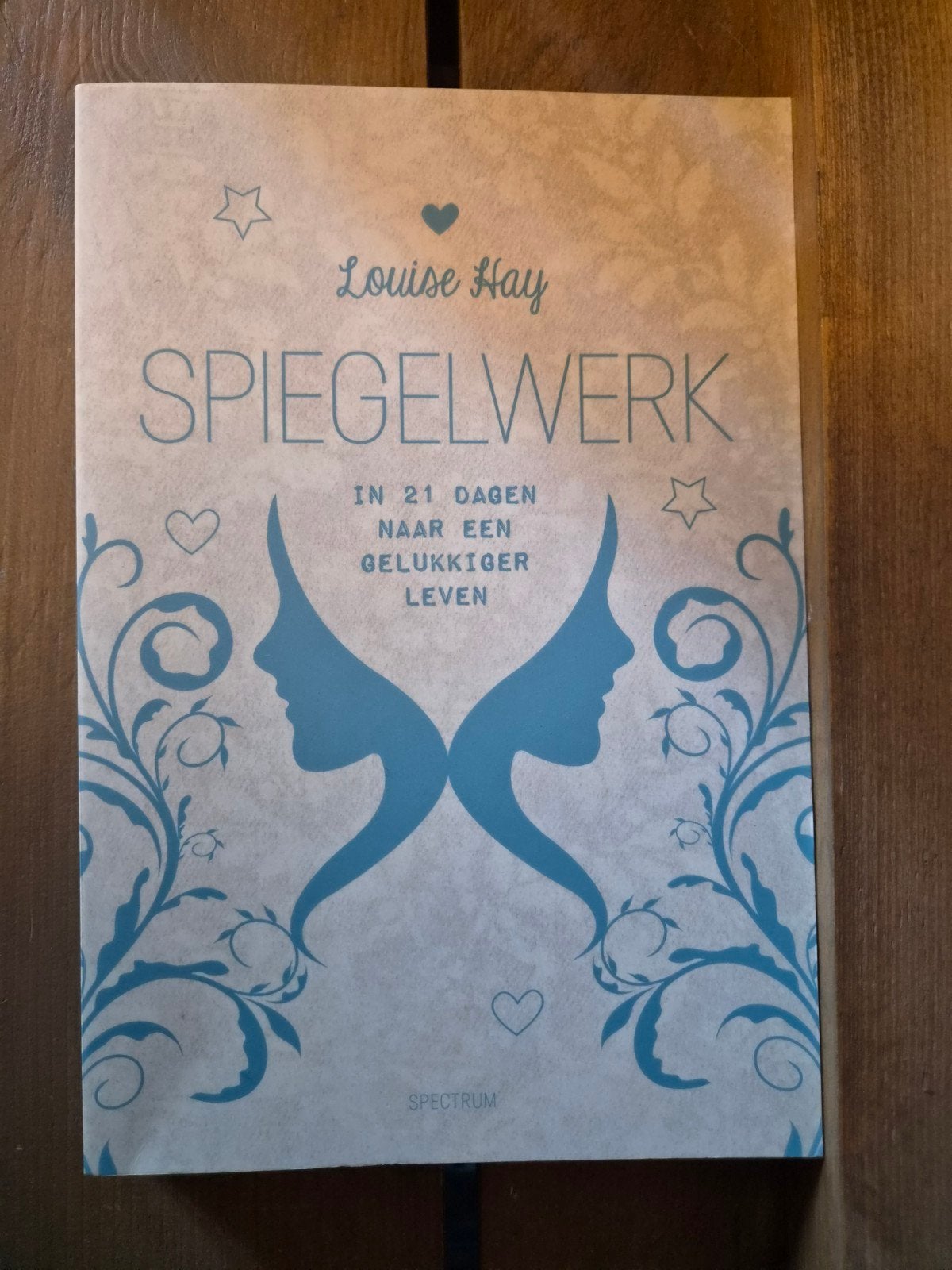 Spiegelwerk:  - Louise Hay, Boeken, Achtergrond en Informatie, Spiritualiteit algemeen, Ophalen of Verzenden, Zo goed als nieuw