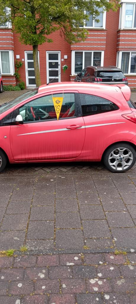 Wegen wacht vaantje  1950 zelzaam, Ophalen of Verzenden, Gebruikt