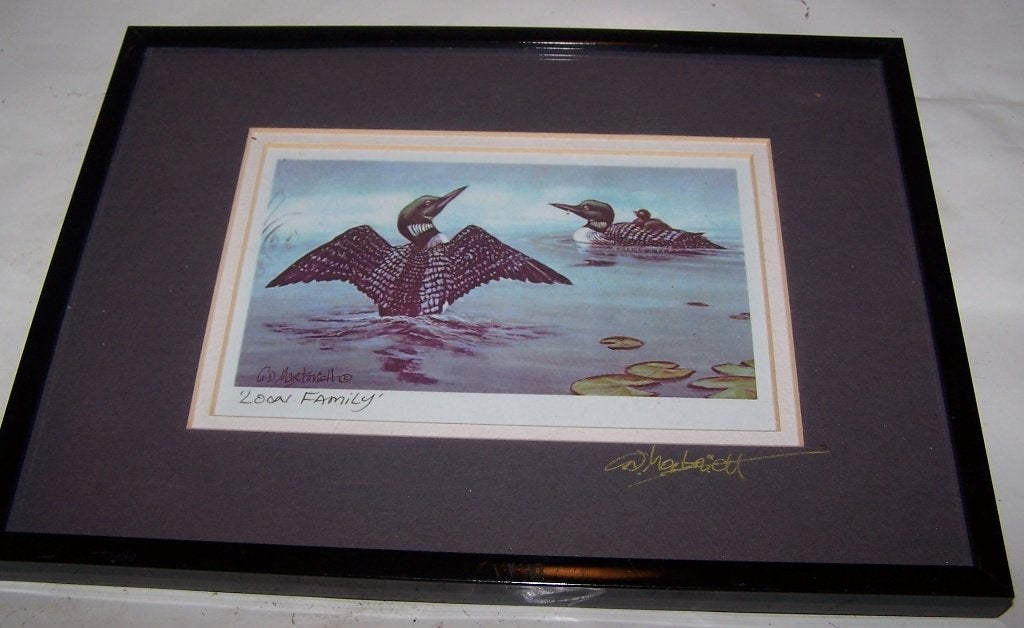 Prachtige hand-ingekleurde prent "Leon Family". Gesigneerd., Antiek en Kunst, Gesigneerd, Ophalen of Verzenden, Dieren en Natuur