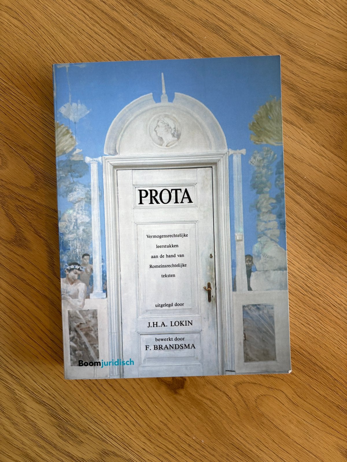 J.H.A. Lokin - Prota, Ophalen of Verzenden, Zo goed als nieuw, J.H.A. Lokin; F. Brandsma