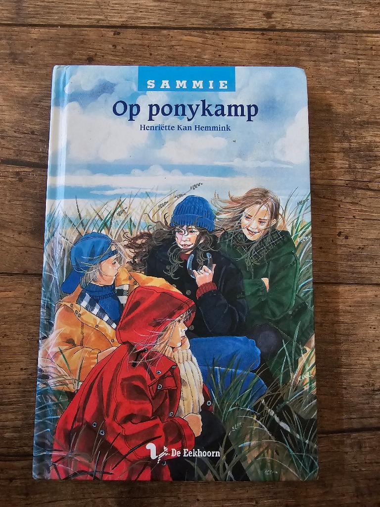 H. Kan Hemmink - Op ponykamp, Gelezen, Ophalen of Verzenden, Fictie, H. Kan Hemmink