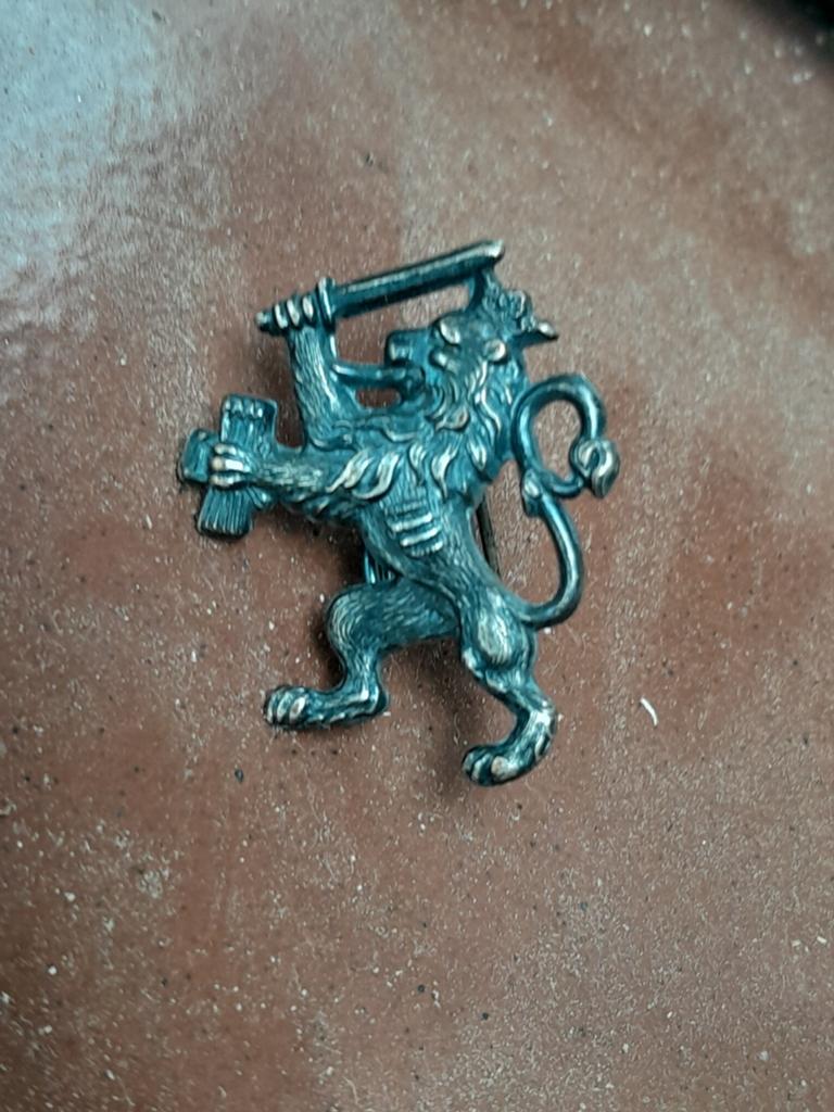 Nederlandse leeuw embleem, Ophalen of Verzenden, Landmacht, Nederland, Embleem of Badge