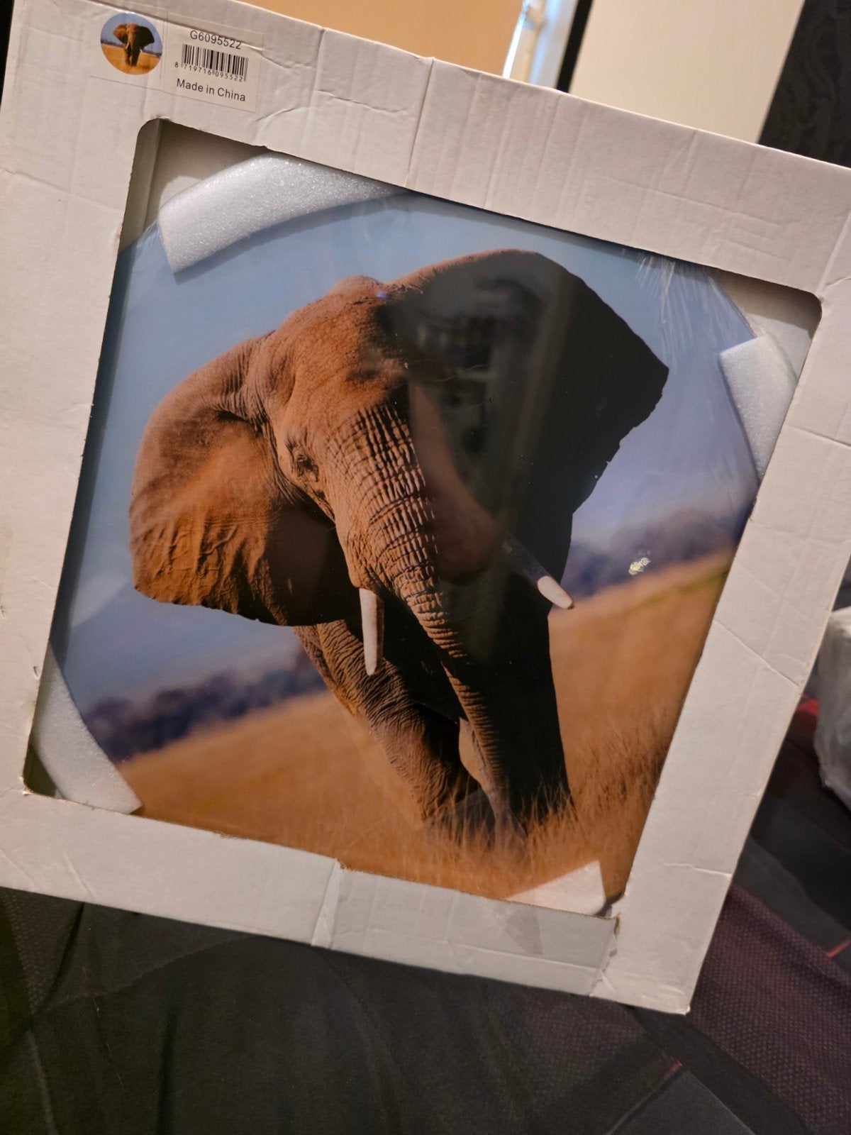Mooie olifantenfoto op glasplaat, Ophalen, 50 – 75, Nieuw, Foto of Poster