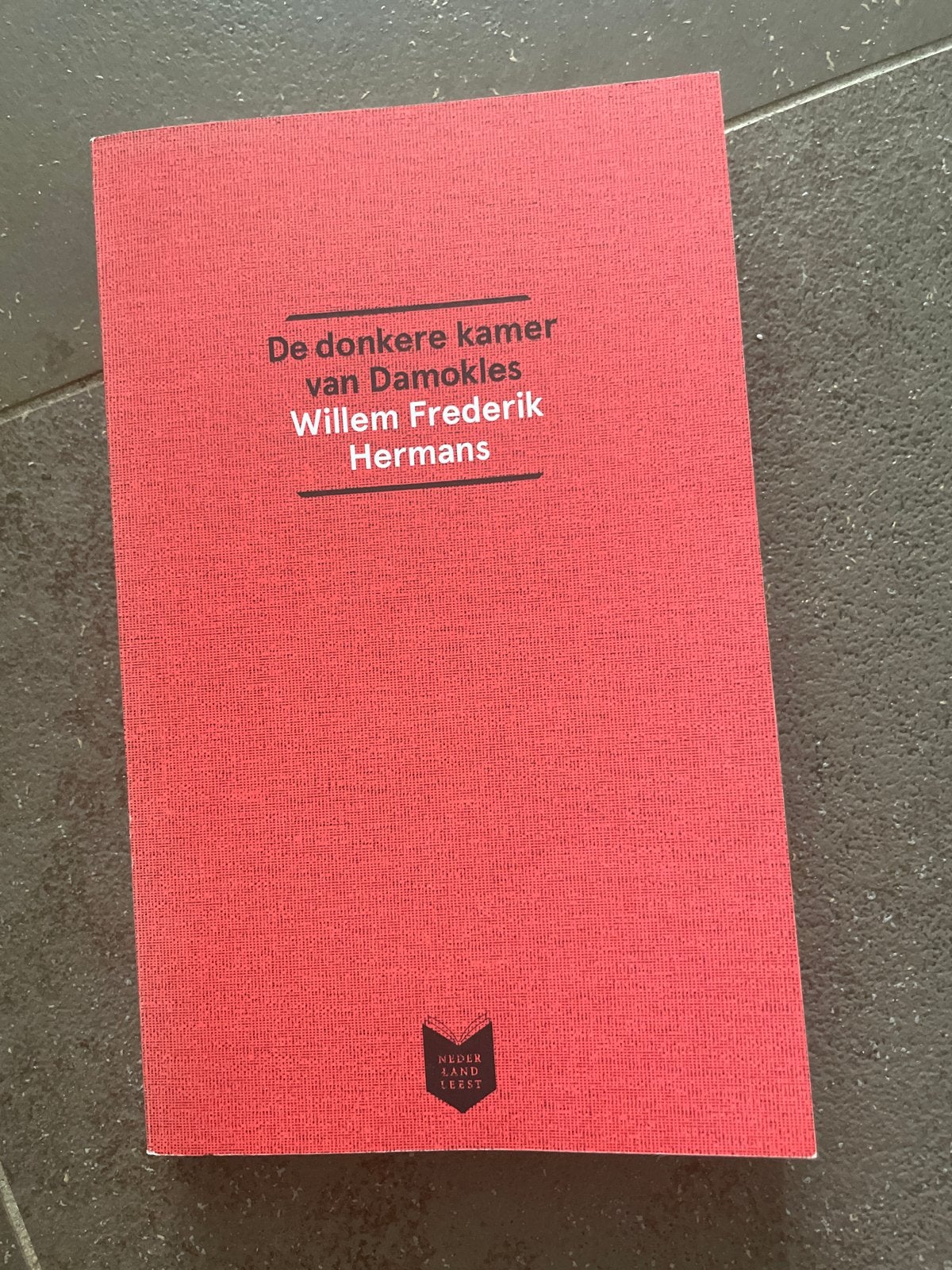 De donkere kamer van Damokles - Willem Frederik Hermans, Boeken, Ophalen of Verzenden, Gelezen, Nederland
