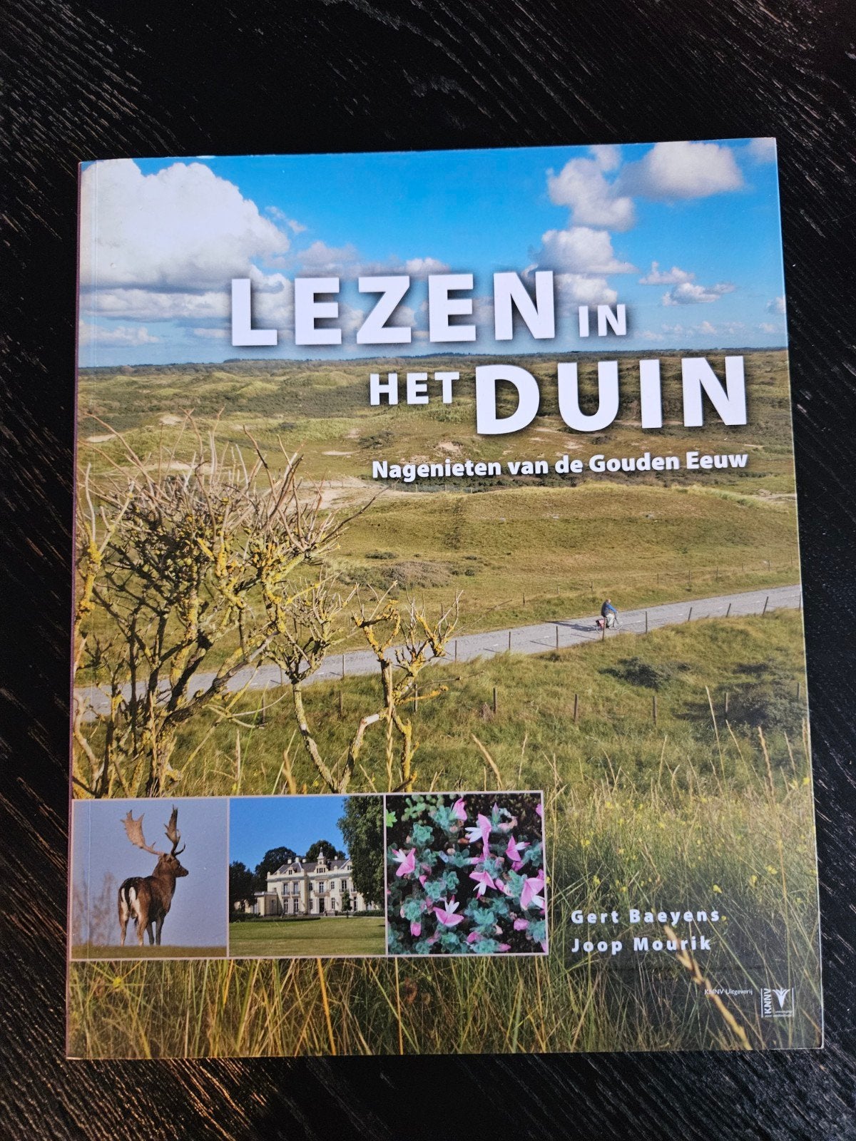 Lezen in het Duin: Nagenieten van de Gouden Eeuw, Ophalen of Verzenden, Zo goed als nieuw, Gert Baeyens, Joop Mourik, Nederland