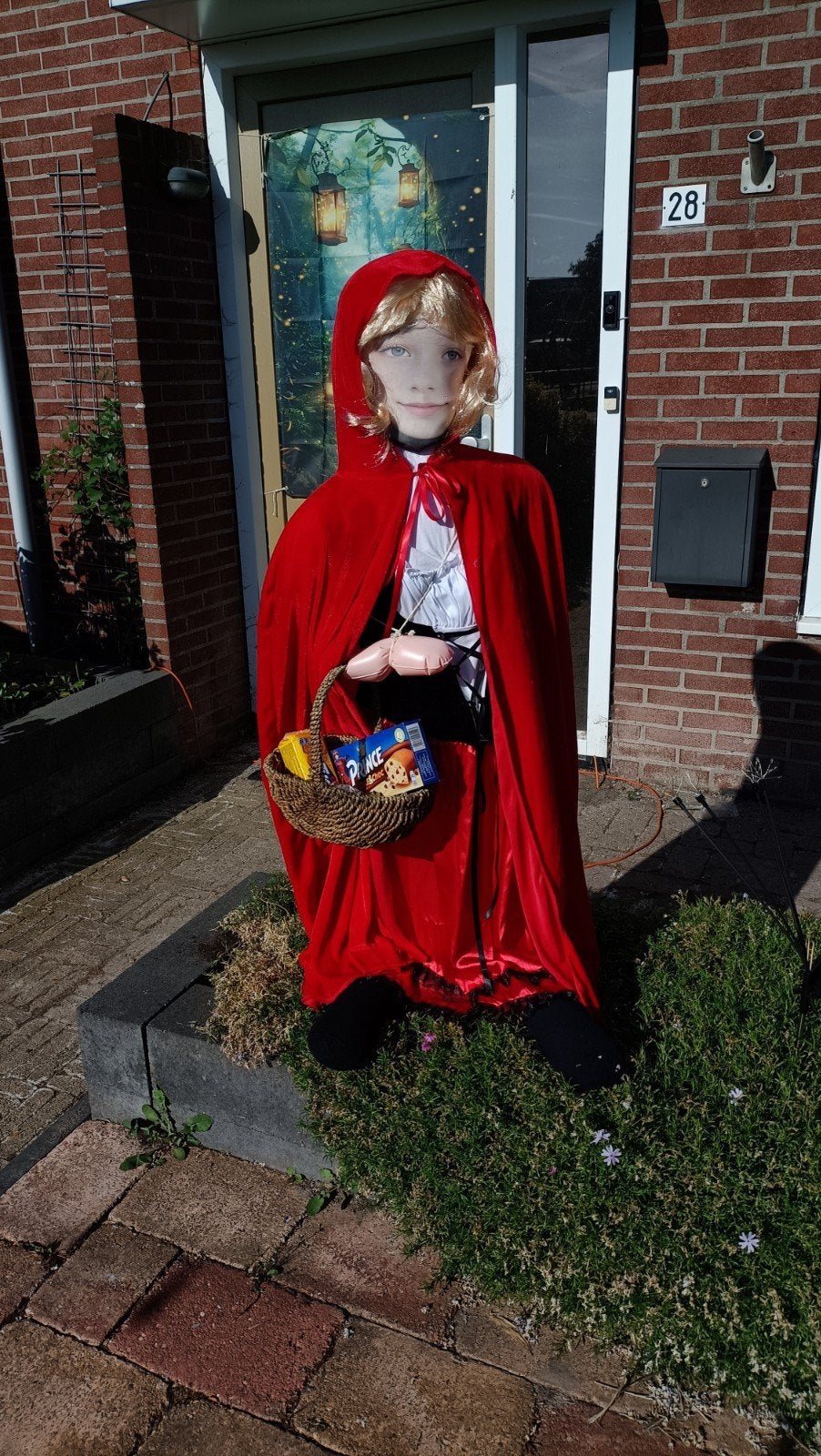 Roodkapje, Ophalen of Verzenden, Zo goed als nieuw, Maat 38/40 (M), Carnaval