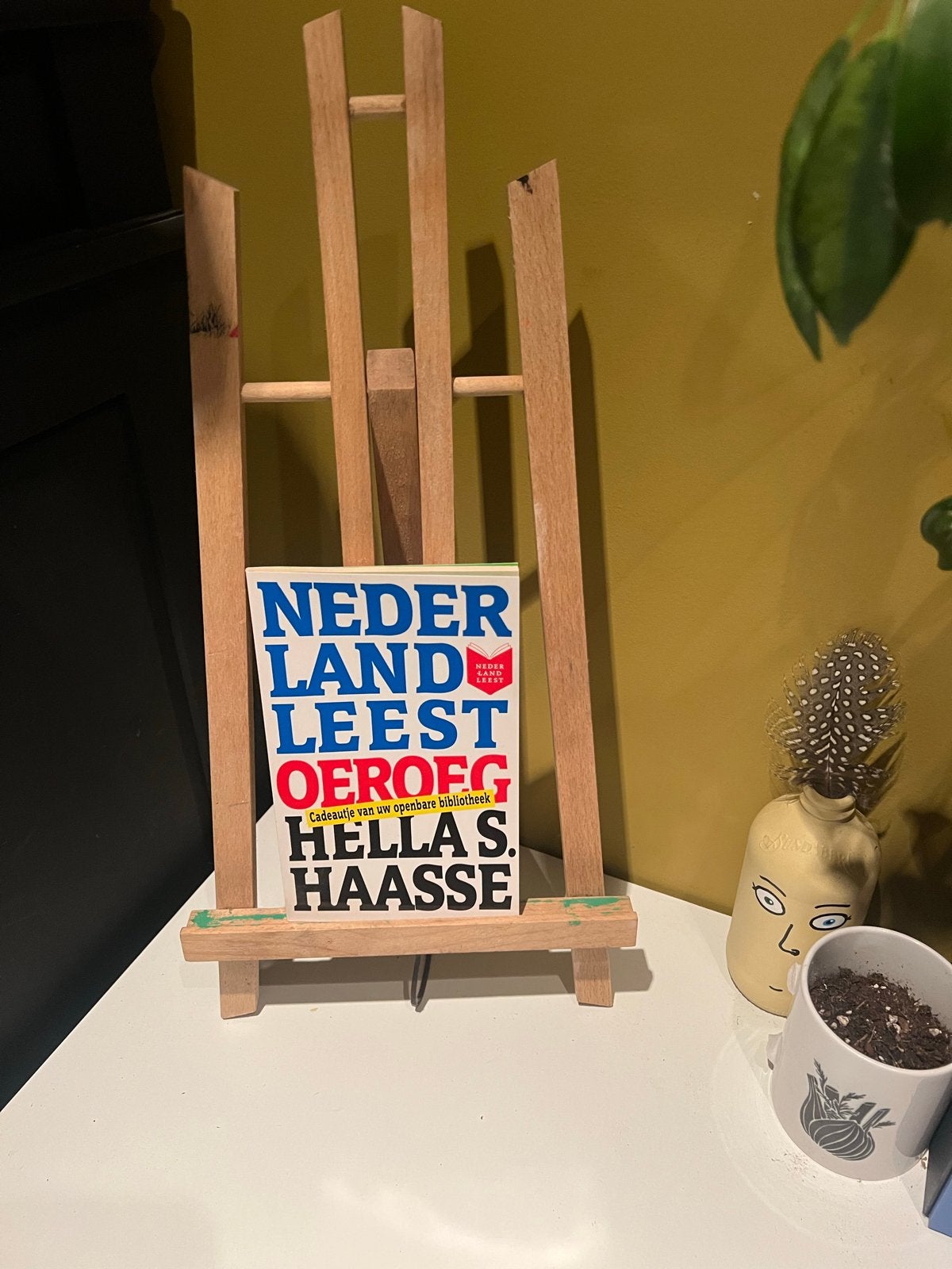 Nederland Leest Oeroeg - Hella S. Haasse, Ophalen of Verzenden, Zo goed als nieuw, Nederland