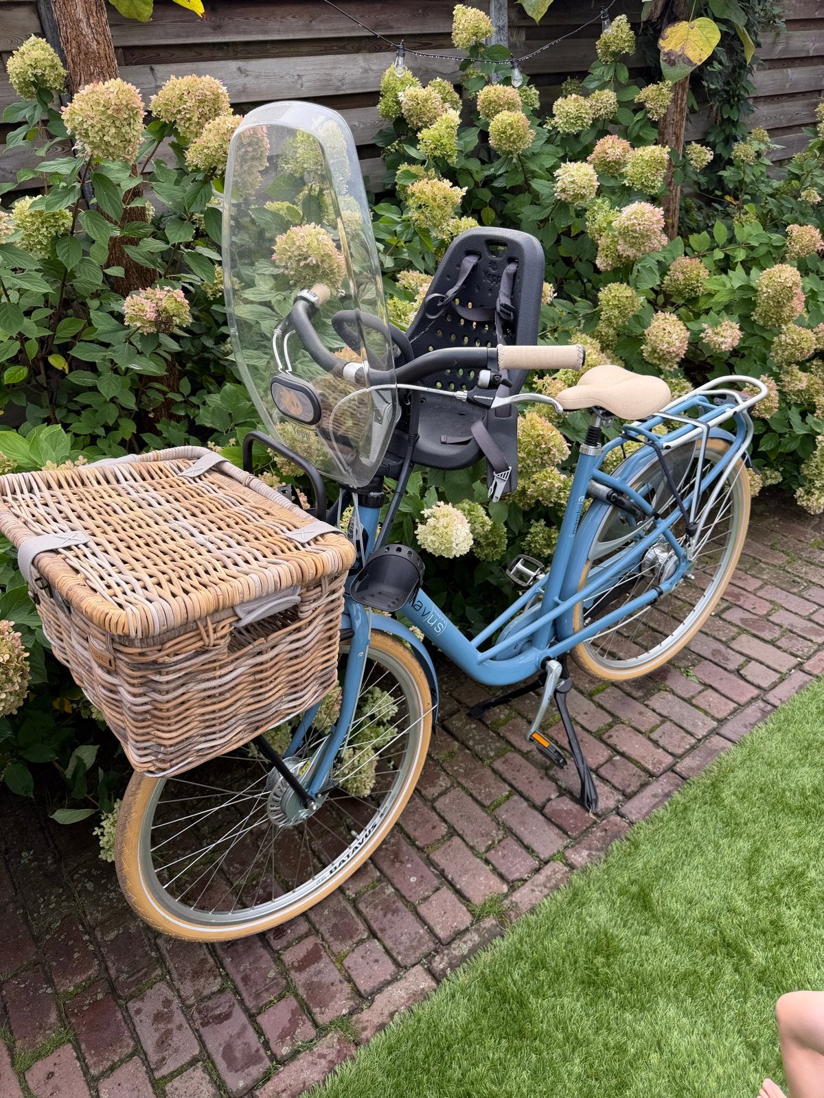 Batavus damesfiets met kinderzitje en mand, Fietsen en Brommers, Ophalen, Batavus, Trommelrem, 53 tot 56 cm