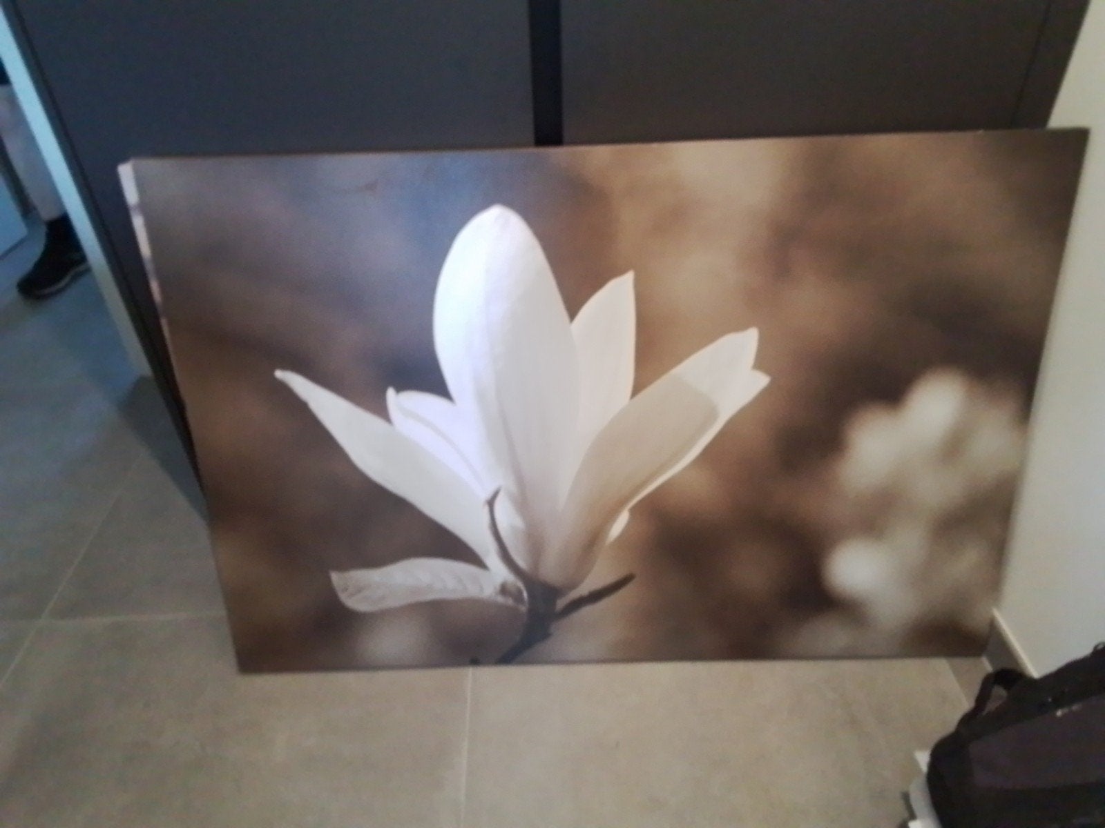 Canvas schilderij met witte bloem, 50 – 75, Gebruikt, Ophalen of Verzenden, Schilderij