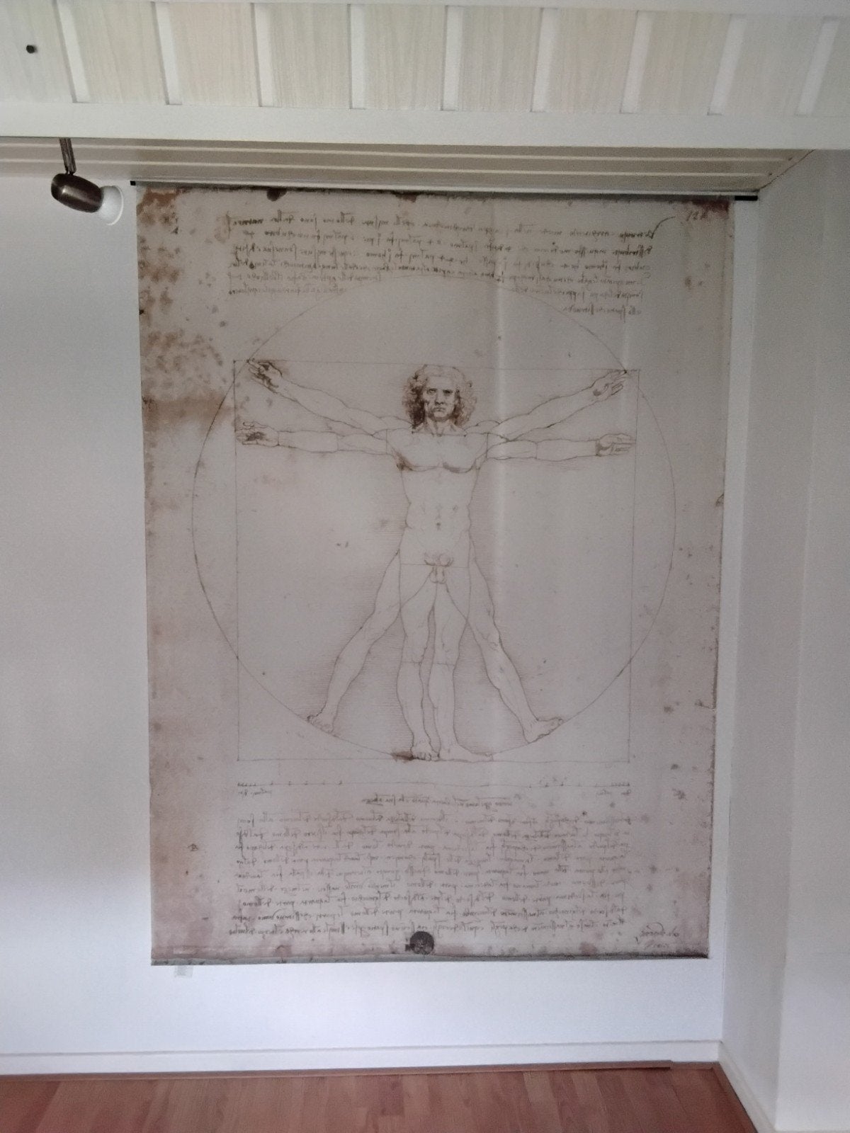 poster doek "mens van vitruvius", Verzamelen, Posters, Ophalen, A1 t/m A3