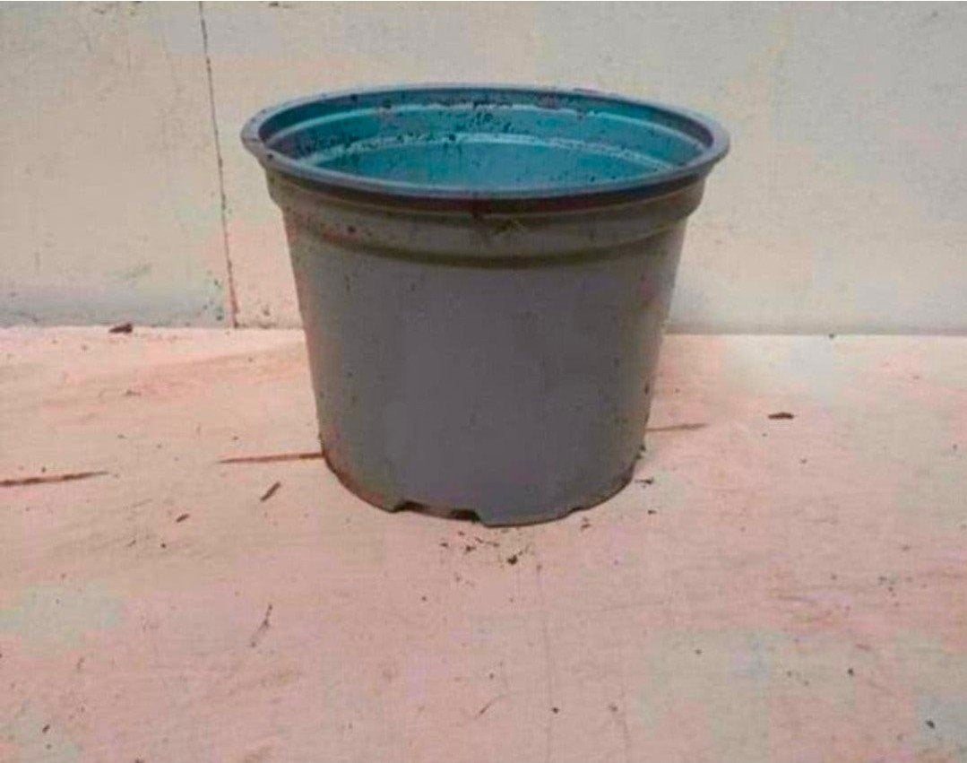 kweekpotten plantenpotten bloempotten 2 liter, Kunststof, Gebruikt, Rond, Ophalen of Verzenden