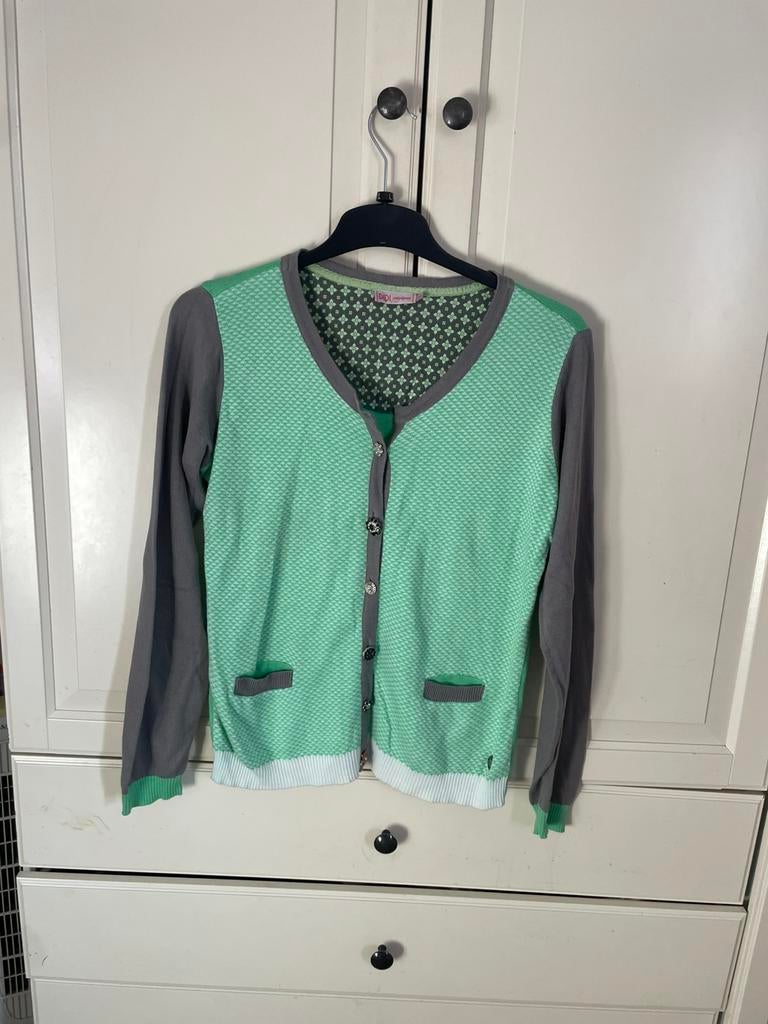 Didi vest L, Kleding | Dames, Truien en Vesten, Verzenden, Zo goed als nieuw, Maat 42/44 (L), Groen