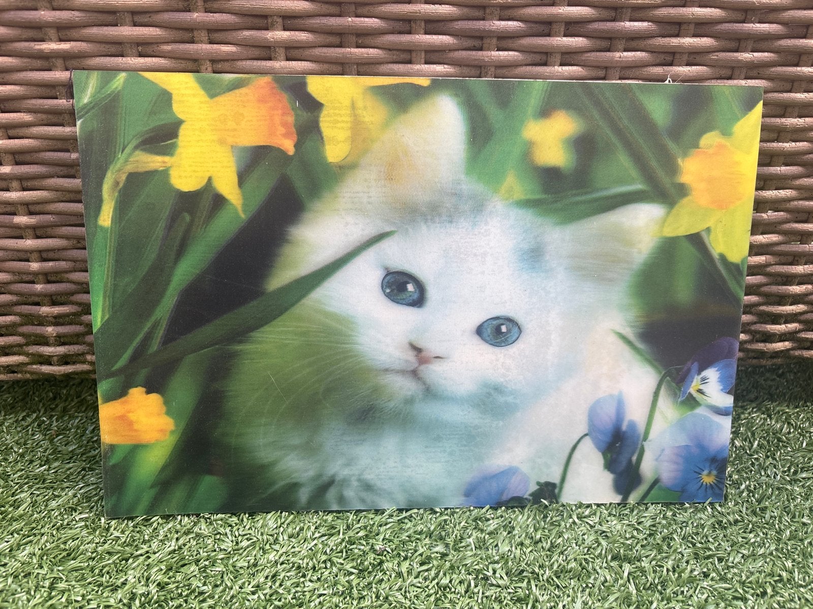Foto schilderij kat, Ophalen