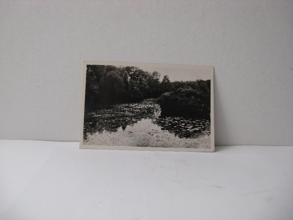 Oisterwijk. Heivennen, Verzenden, Voor 1920, Gelopen, Noord-Brabant