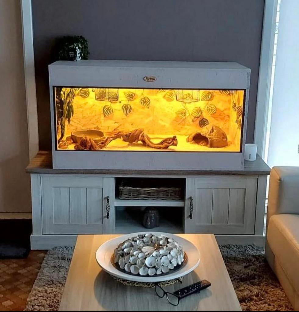 NIEUW ‼️ TERRARIUM OSB ( verschillende maten ), Ophalen, Nieuw, Terrarium of Paludarium