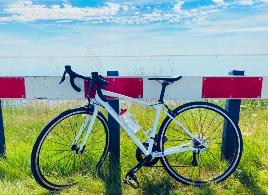 Trek Domane Al 3 racefiets, 26 inch, 49 tot 53 cm, 15 tot 20 versnellingen, Dames