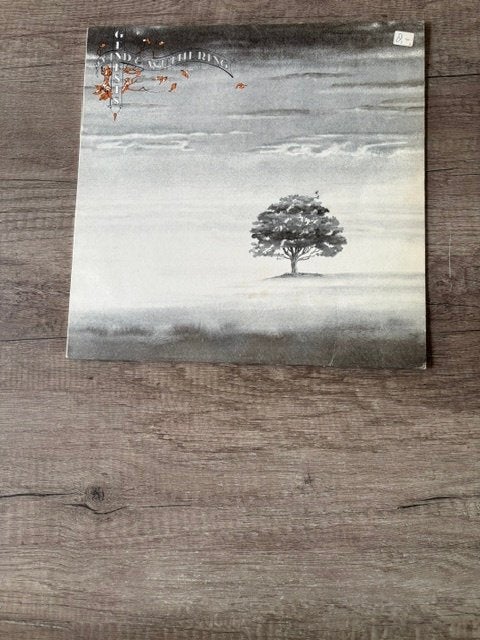 LP Genesis - Wind & Wuthering - 1976, Cd's en Dvd's, Vinyl | Rock, Ophalen of Verzenden, Gebruikt, 12 inch, Poprock
