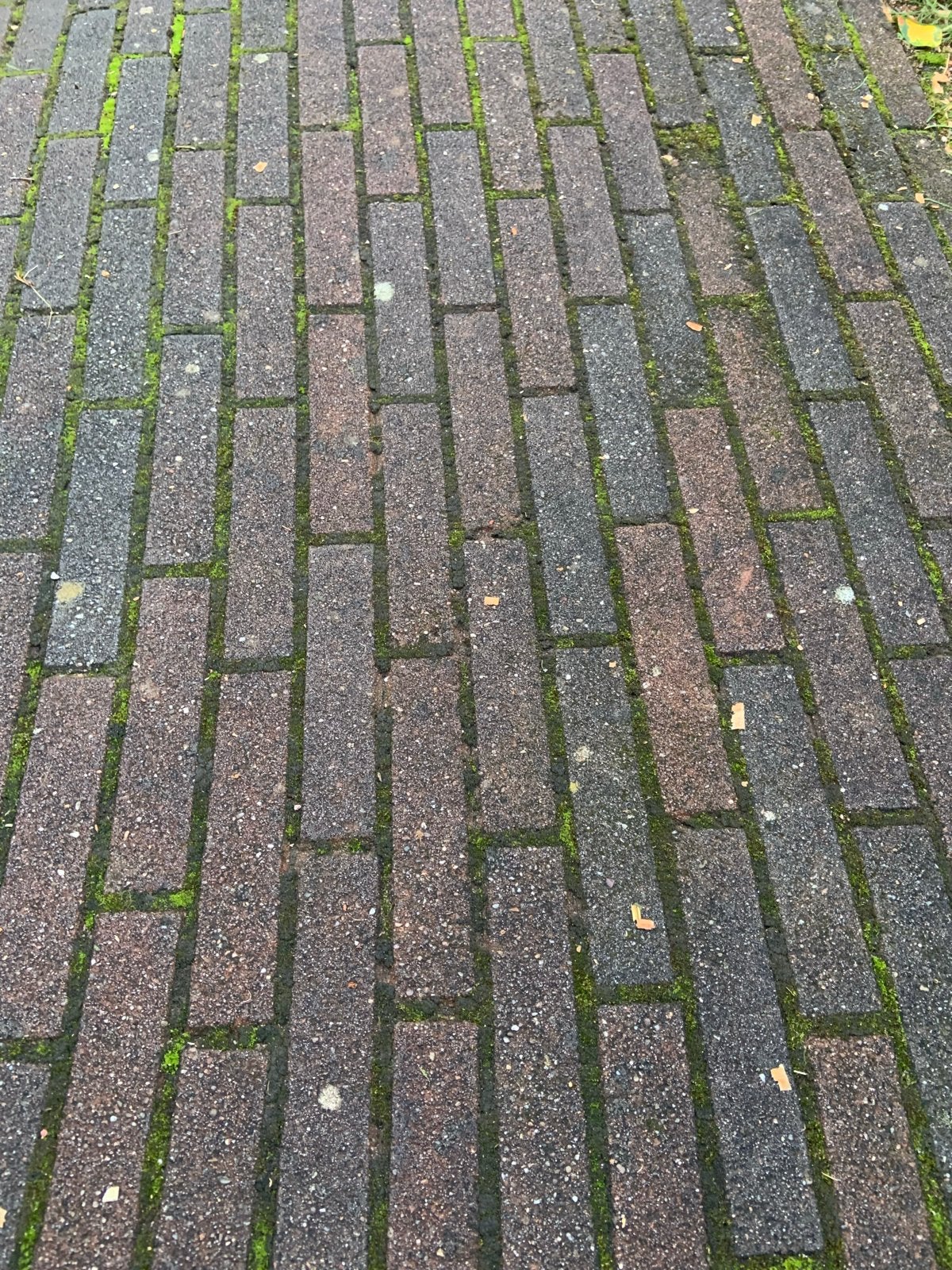 Gebruikte Klinkers - Beton - Diverse kleuren, Tuin en Terras, Gebruikt, Klinkers, Ophalen of Verzenden, 10 m² of meer