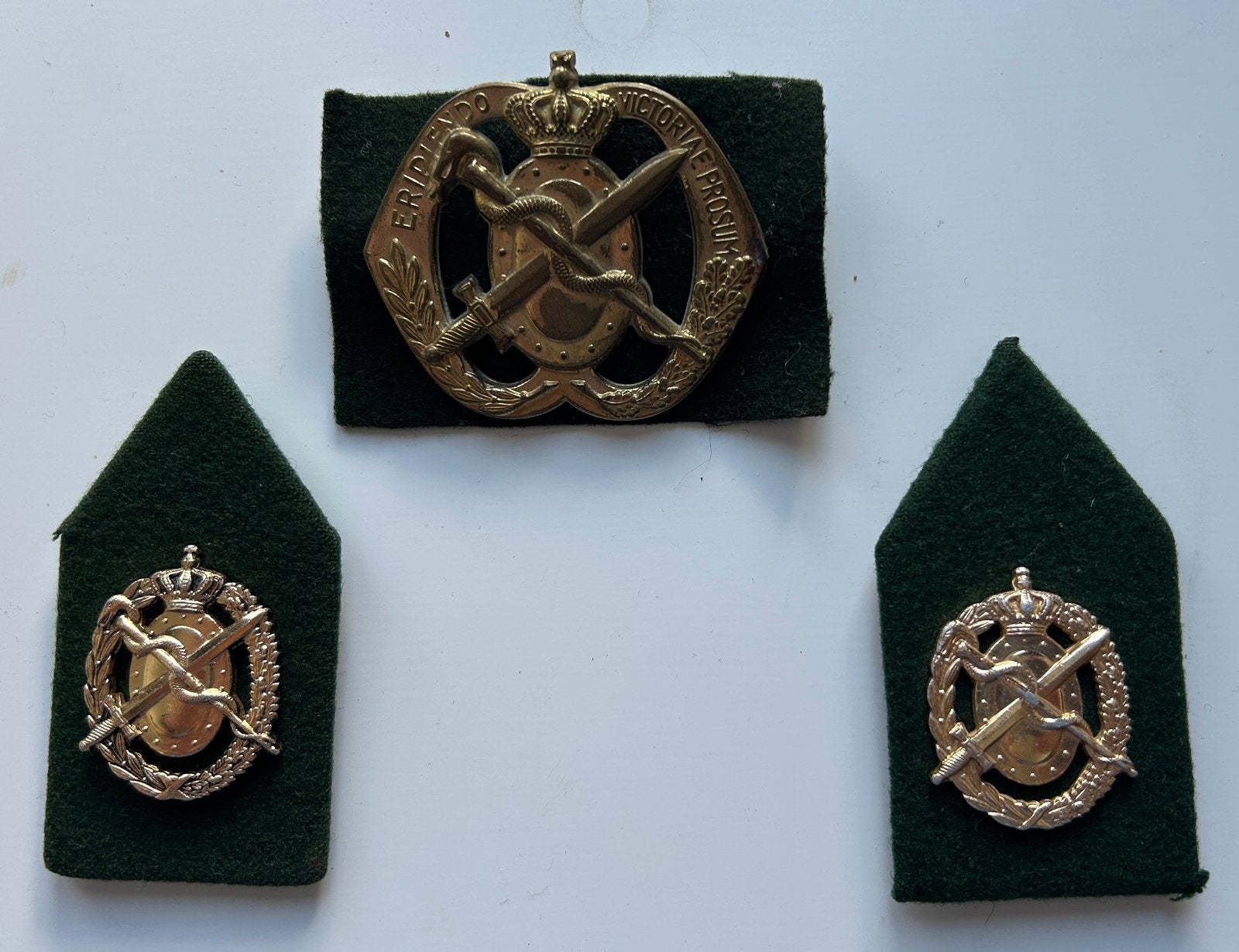 Geneeskundige dienst, Verzamelen, Ophalen of Verzenden, Landmacht, Nederland, Embleem of Badge