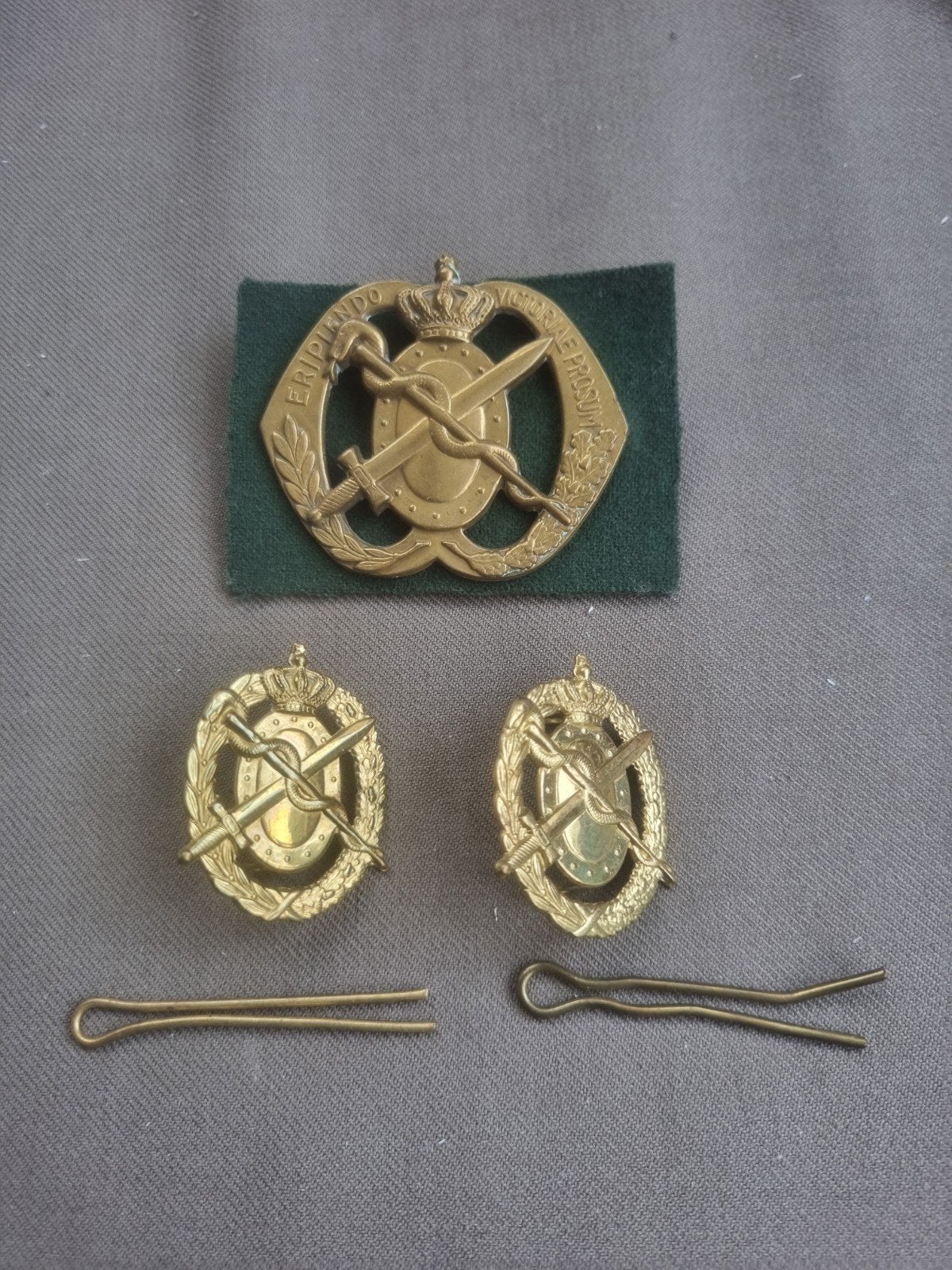 baret en schouderemblemen geneeskundige dienst (oogjes), Verzamelen, Ophalen of Verzenden, Landmacht, Nederland, Embleem of Badge