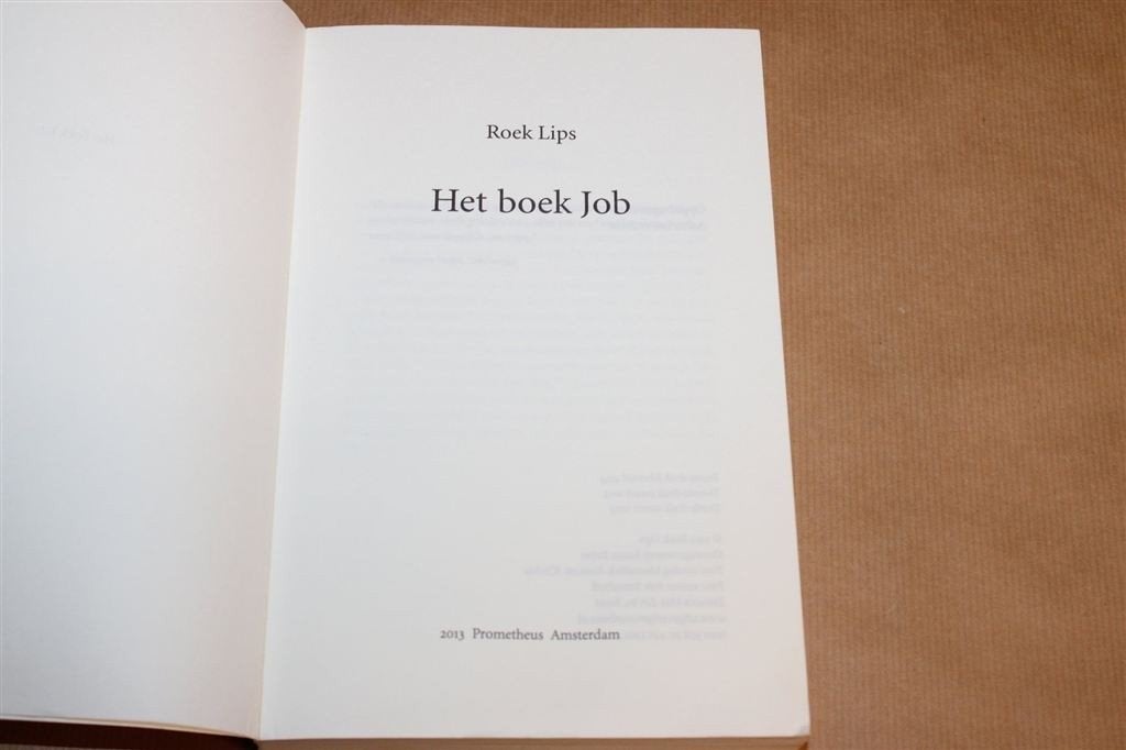 Het Boek Job — Roek Lips, Verdrinking Zoon Spanje, Boeken, Ophalen of Verzenden, Gelezen