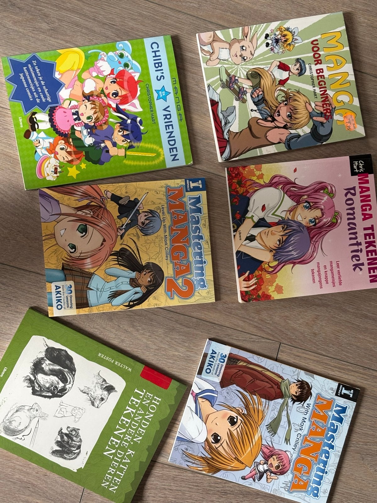 Manga Tekenboeken: Leer Chibi's, Romantiek en Meer Tekenen, Ophalen of Verzenden, Gelezen, Fotografie algemeen