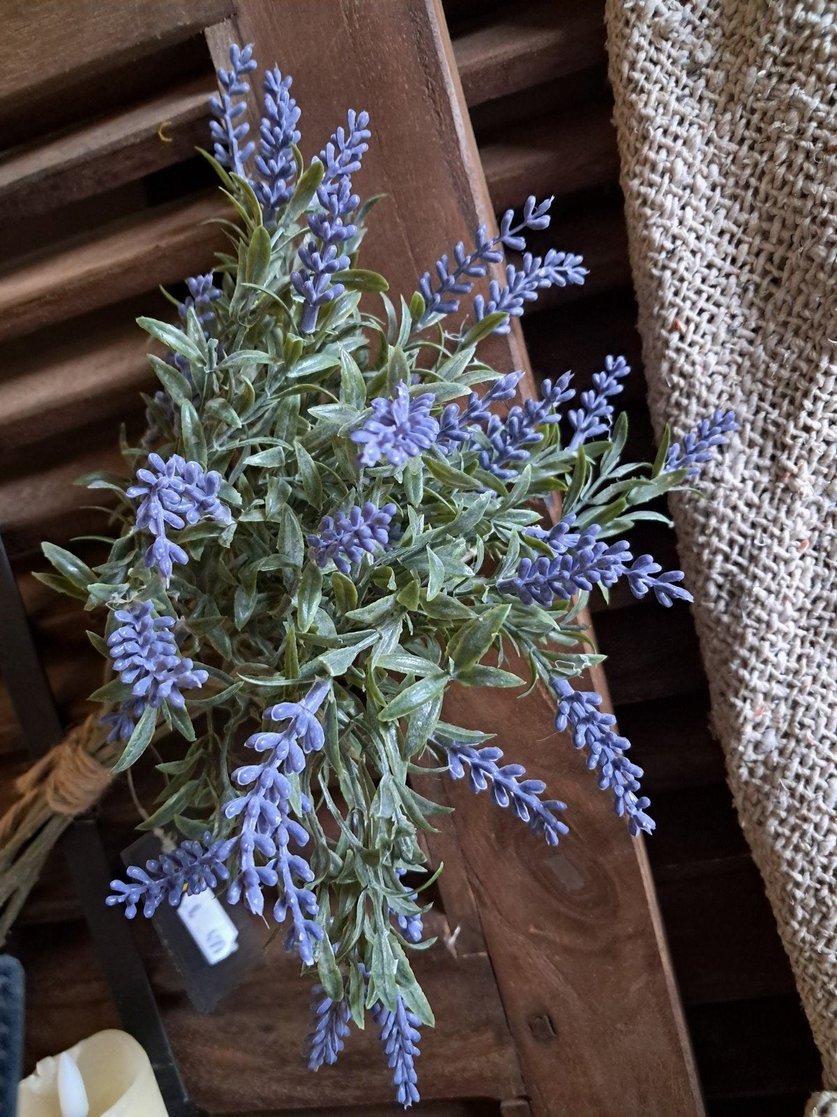 Lavendel €4,99 p.s., Ophalen of Verzenden, Nieuw