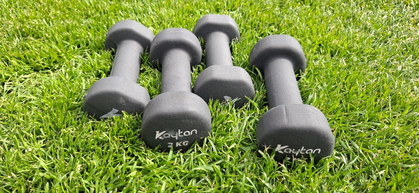 Set van 4 Kaytan dumbbells - 2 kg, Ophalen, Gebruikt, Armen, Dumbbell