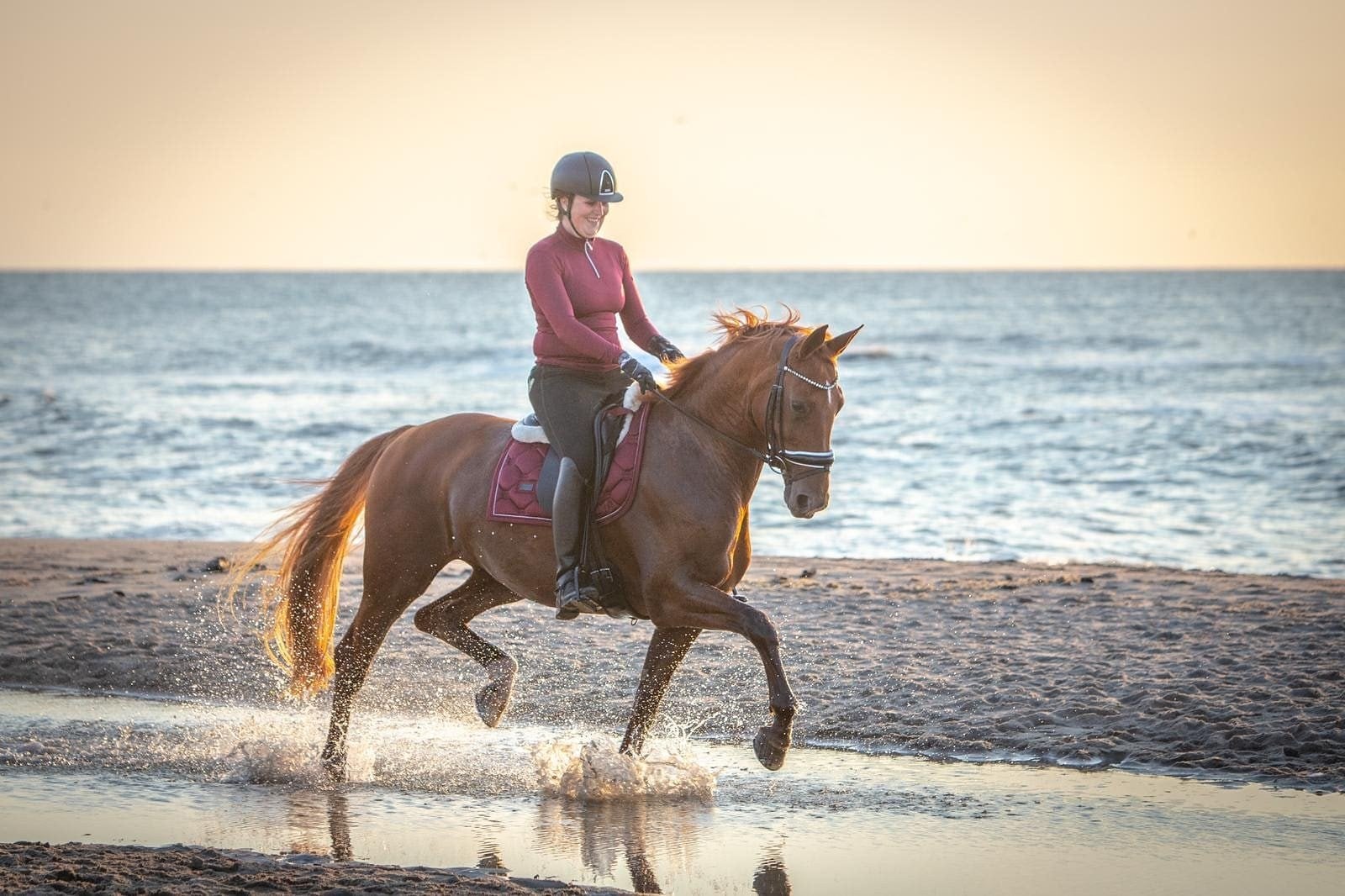 ️  Heleentje – een gouden, veelzijdige Gelderse merrie, Merrie, ZZ, Met stamboom, Dressuurpaard