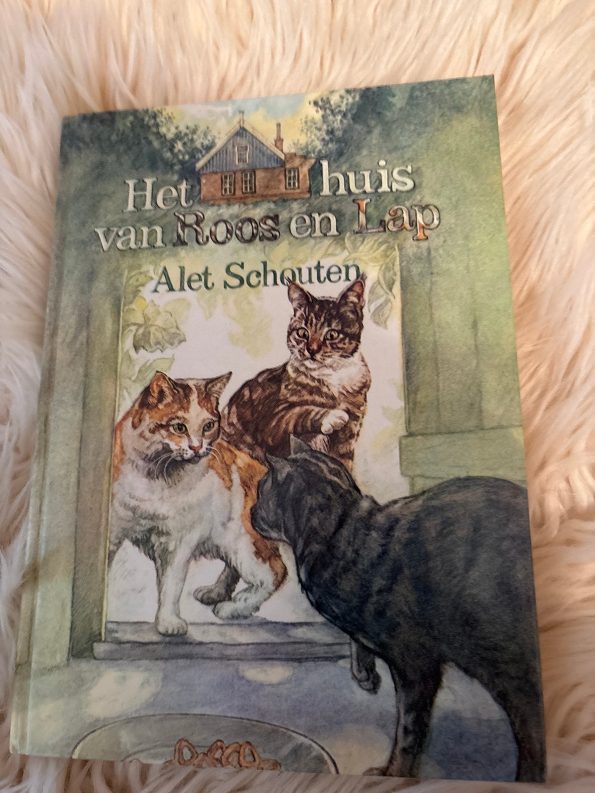 Het huis van Roos en Lap - Alet Schouten (Katjesboek), Ophalen of Verzenden, Zo goed als nieuw, Fictie algemeen