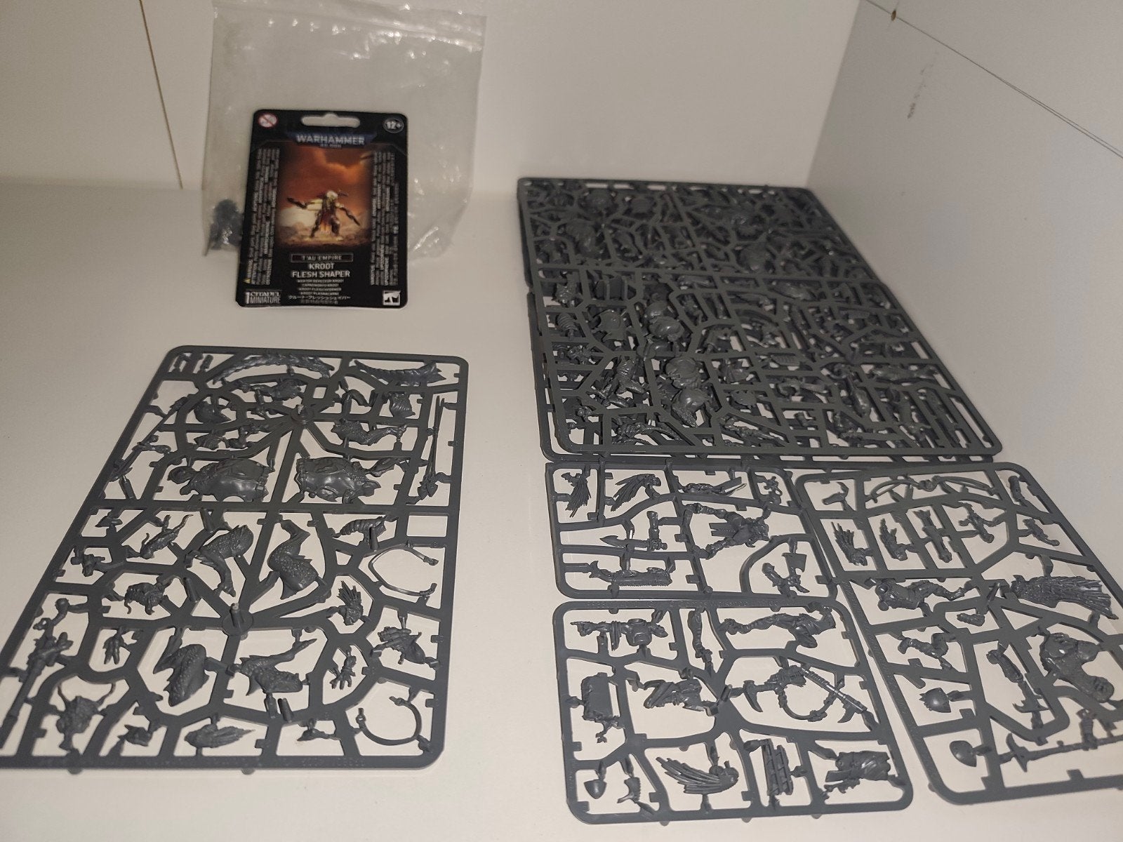 Warhammer Warhammer40k Kroot T'au, Hobby en Vrije tijd, Wargaming, Ophalen of Verzenden, Geverfd