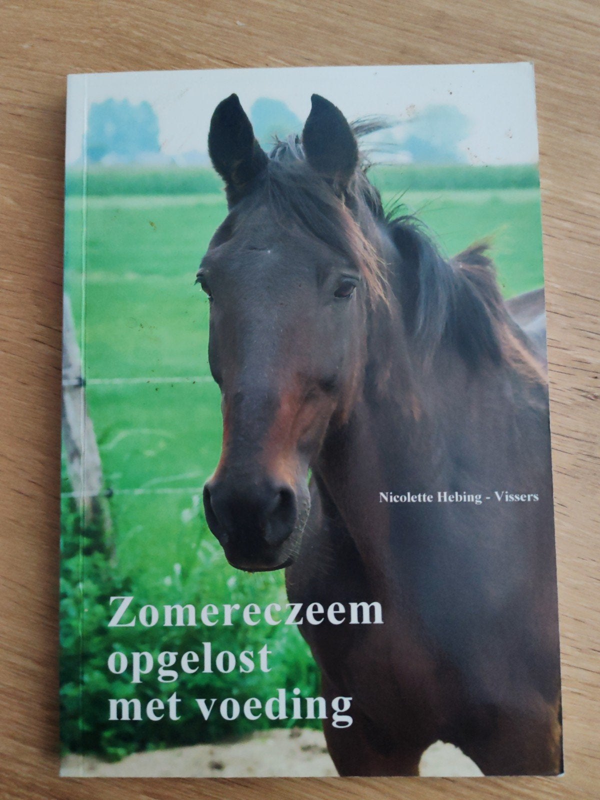 Zomereczeem opgelost met voeding - Nicolette Hebing - Visser, Nicolette Hebing-Vissers, Ophalen of Verzenden, Zo goed als nieuw