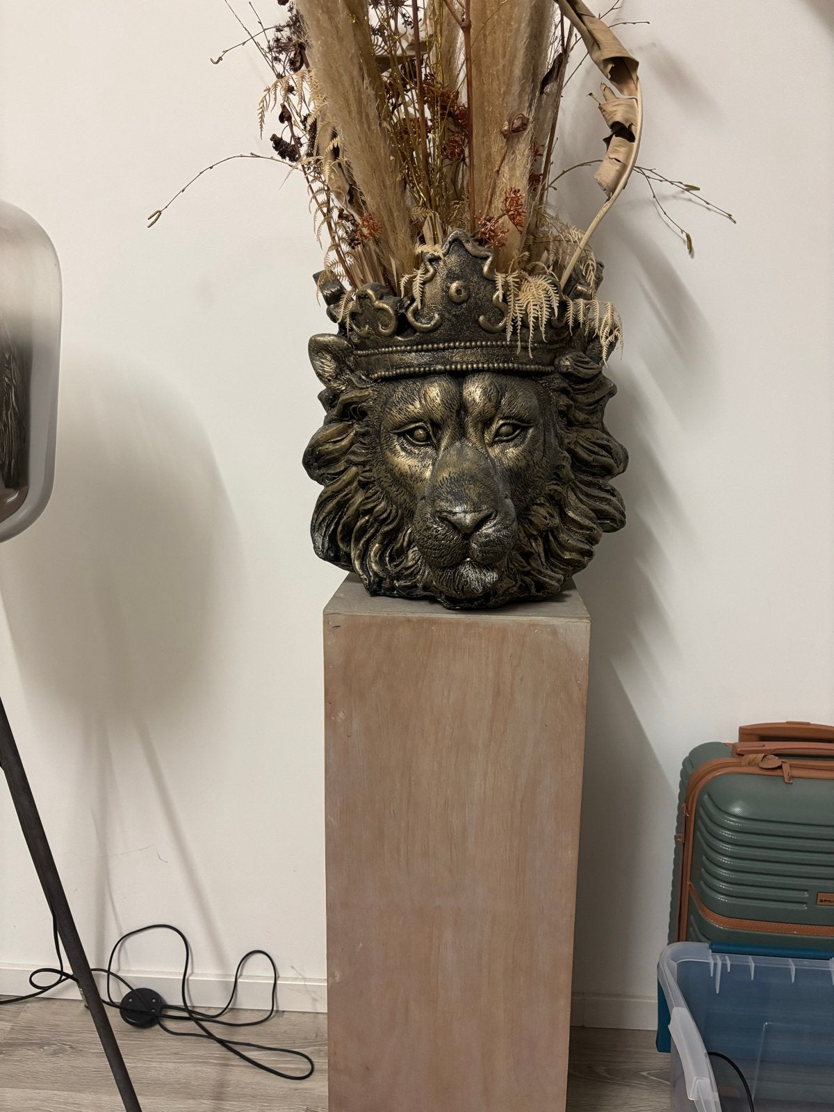 Gouden Leeuwenkop Bloempot met Kroon, Ophalen, Goud, Steen/keramiek, Klassiek