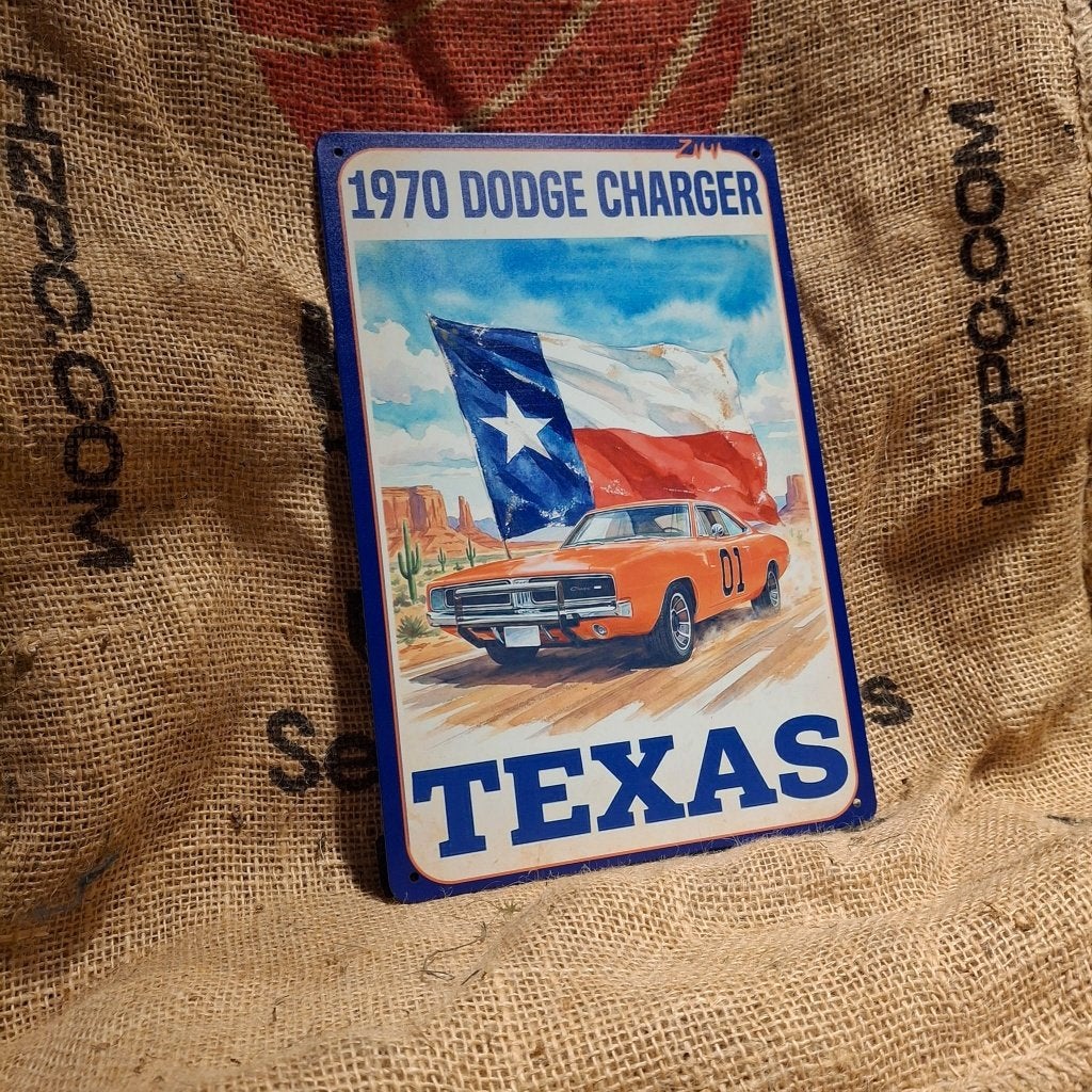 Dodge Charger - Metalen wandplaat, Metaal, 30 cm, 20 cm, Meerkleurig