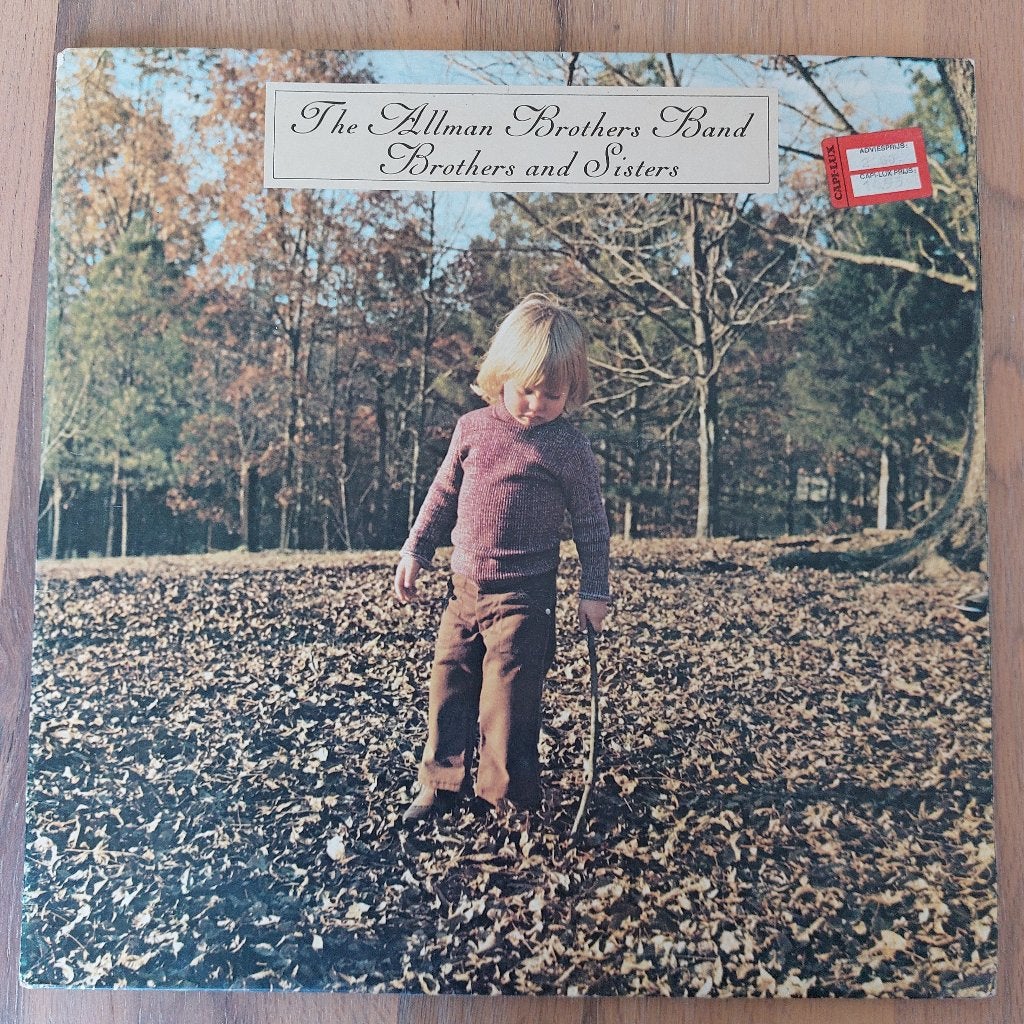 LP The Allman Brothers Band – Brothers And Sisters, Cd's en Dvd's, Vinyl | Rock, Ophalen of Verzenden, Gebruikt, 12 inch, Blues Rock