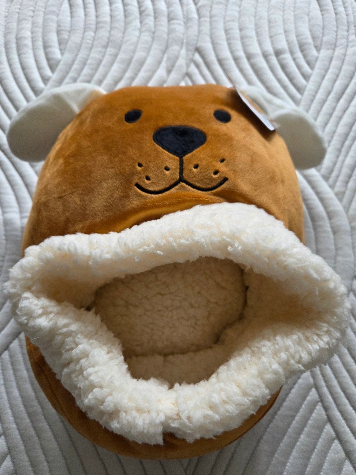 Balvi Voetenwarmer Hond - Woof! - Nieuw met label, Nieuw, Ophalen of Verzenden, Modern, Bruin