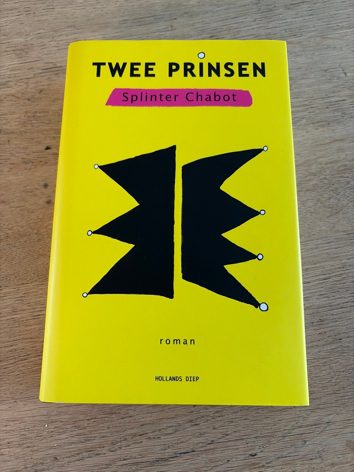 Twee Prinsen - Splinter Chabot (Roman), Boeken, Ophalen of Verzenden, Zo goed als nieuw, Nederland