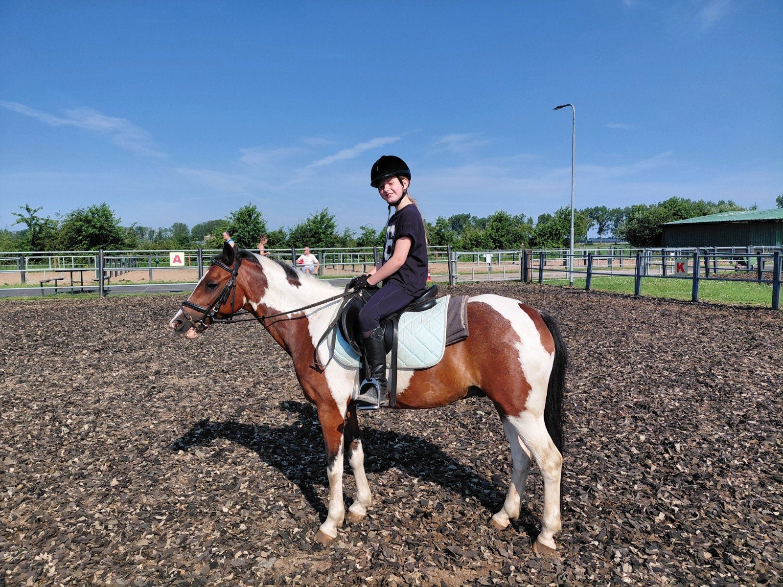 verzorgpony/ shetlander(s) gezocht, Ophalen of Verzenden