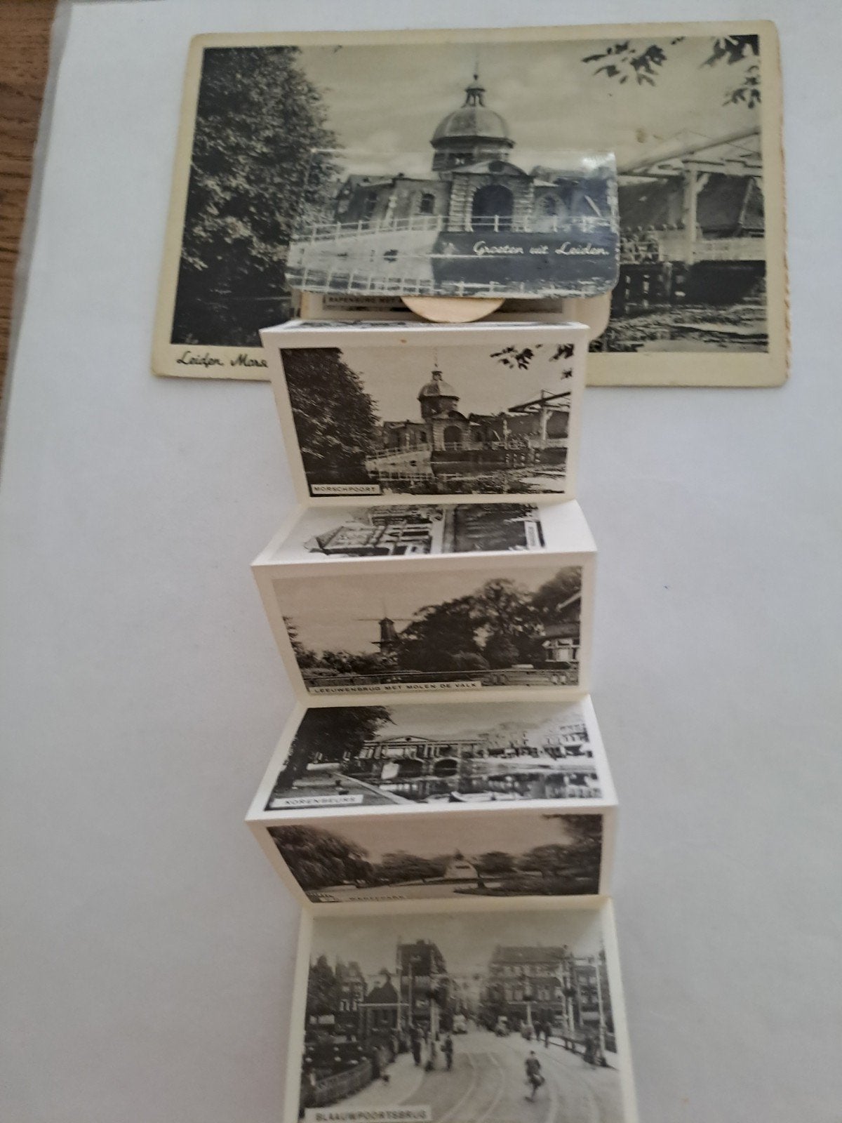 leiden,  klapjeskaart, Verzamelen, Ophalen of Verzenden, Voor 1940, Overige onderwerpen