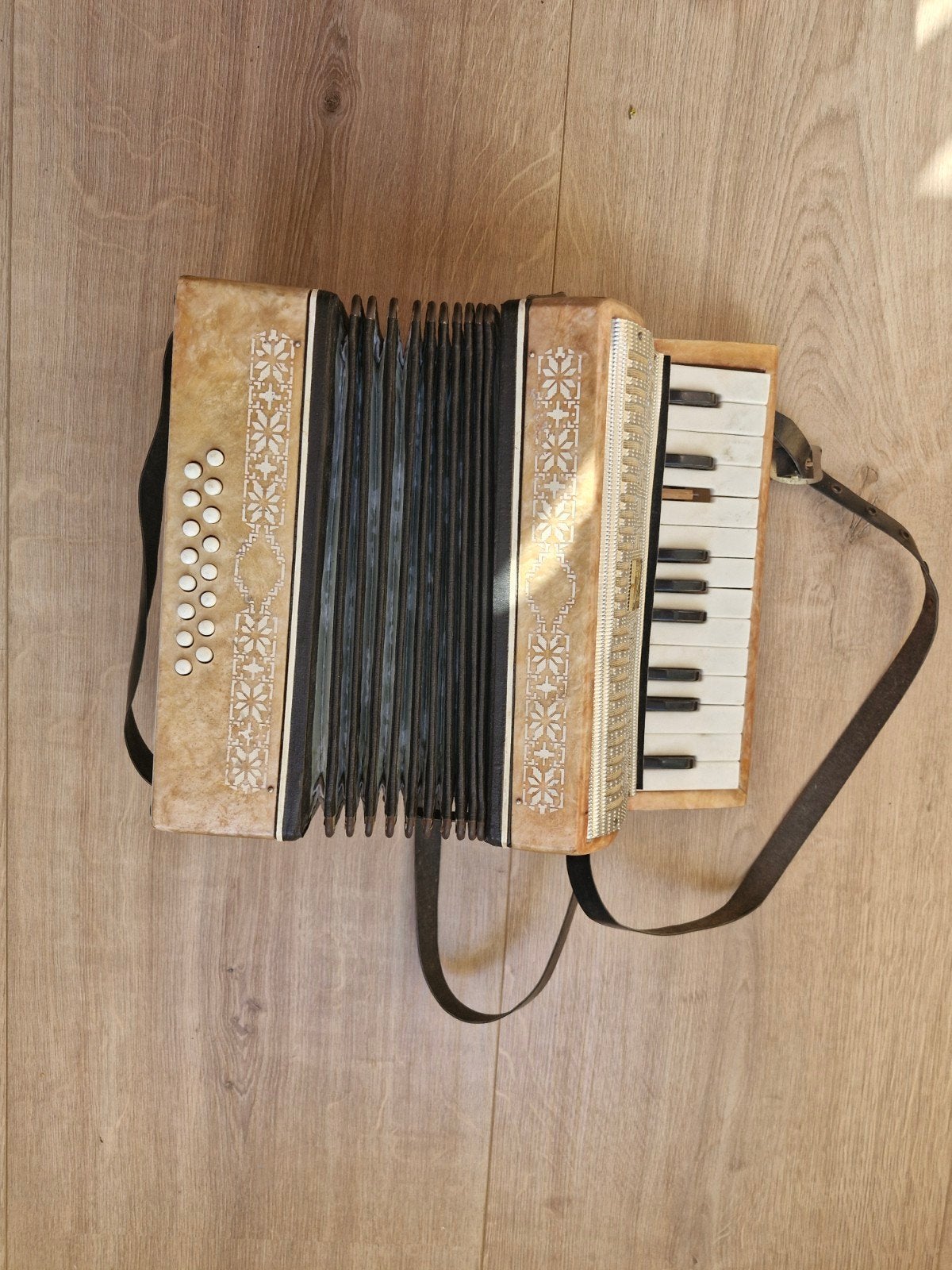 Vintage Malysh Accordeon - Toetsaccordeon, Overige merken, Gebruikt, Met riemen, Overige formaten