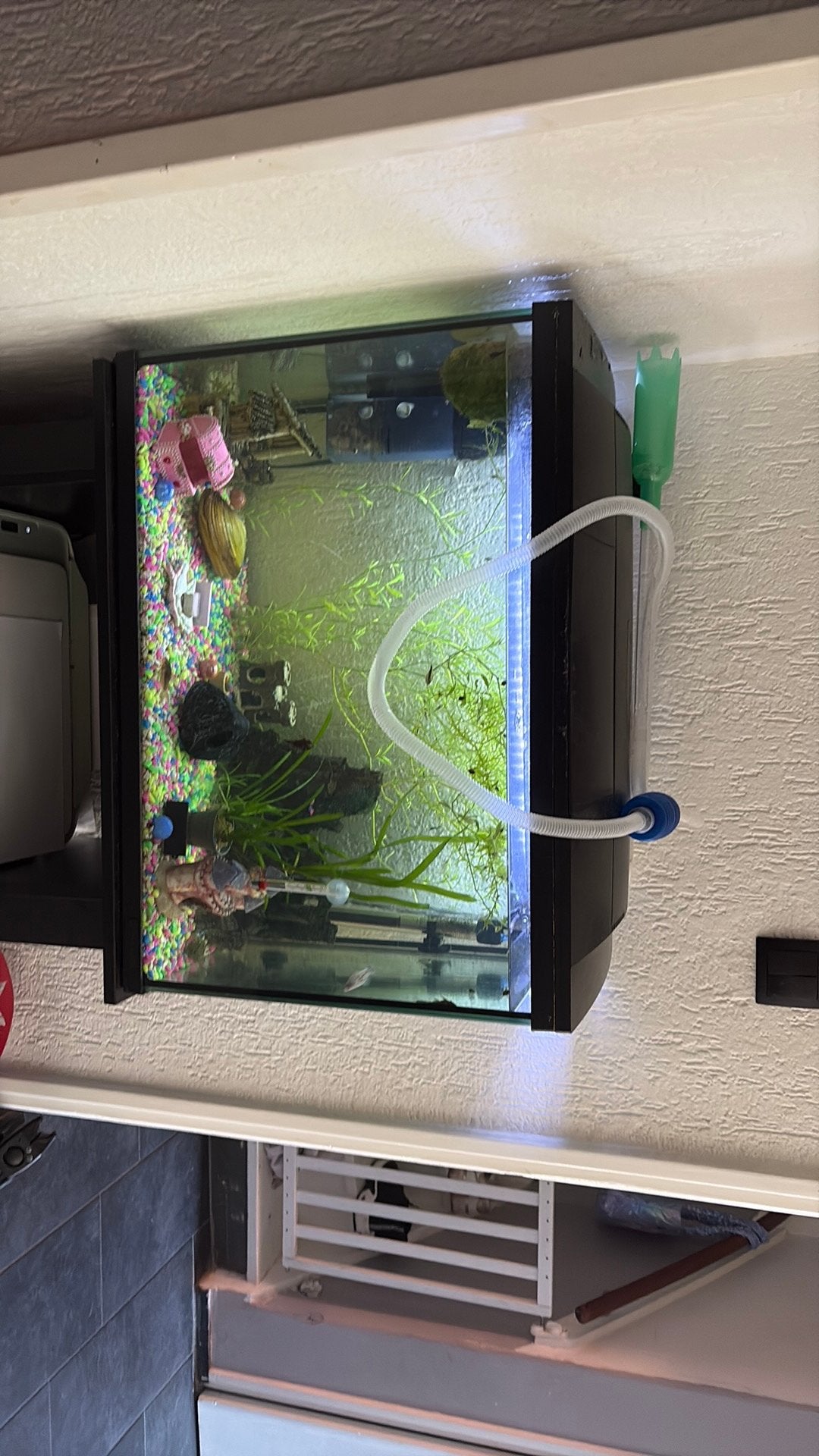 Compleet aquarium, Ophalen, Inclusief toebehoren, Gebruikt, Gevuld zoetwateraquarium