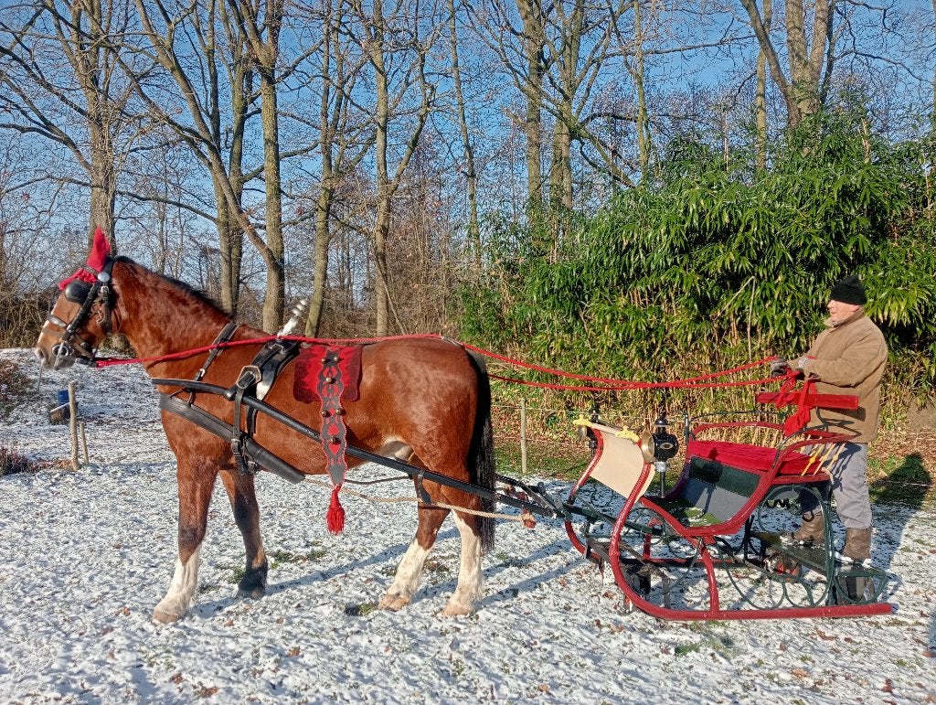 Arre- slee voor 3 personen 1- en 2 span met onderstel., Zo goed als nieuw, Overige typen, Paard of Pony